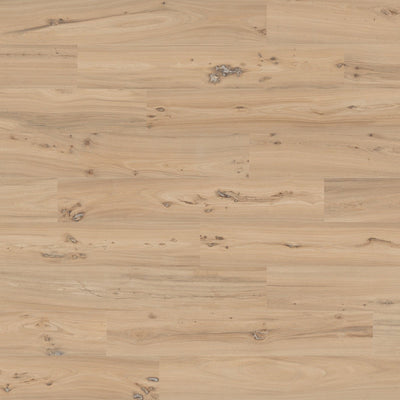 Olmo Dorato β porcelain-tile collection
