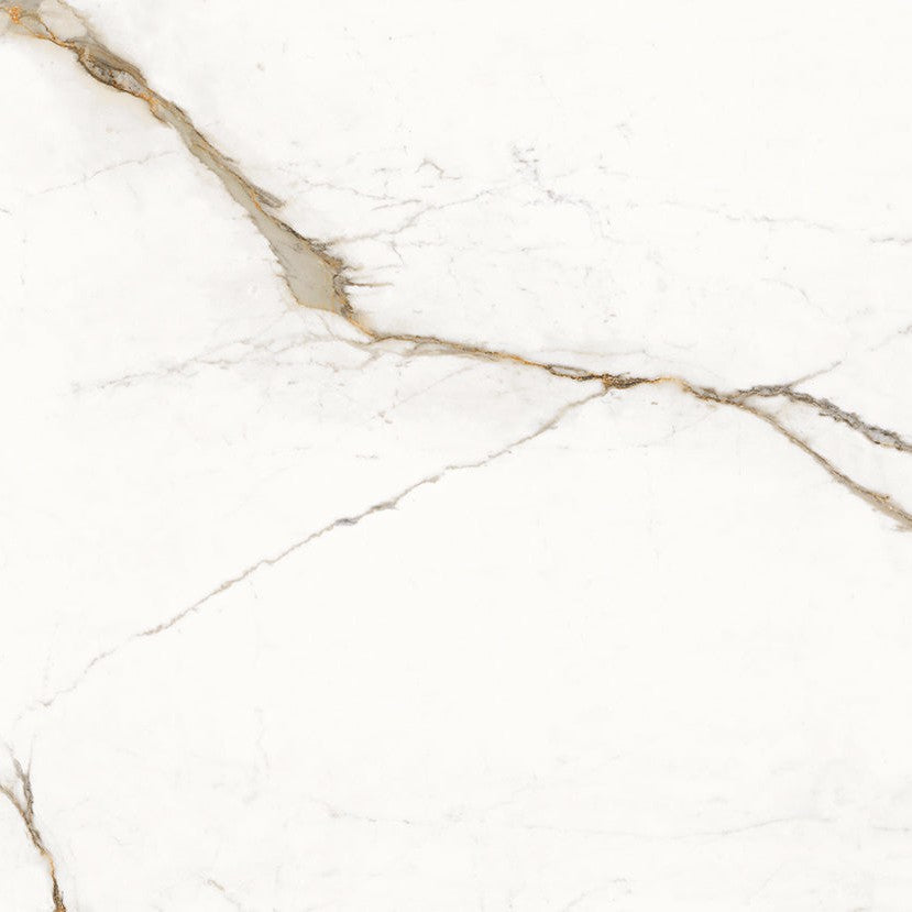 Unique Marble Paonazzetto Porcelain Tile