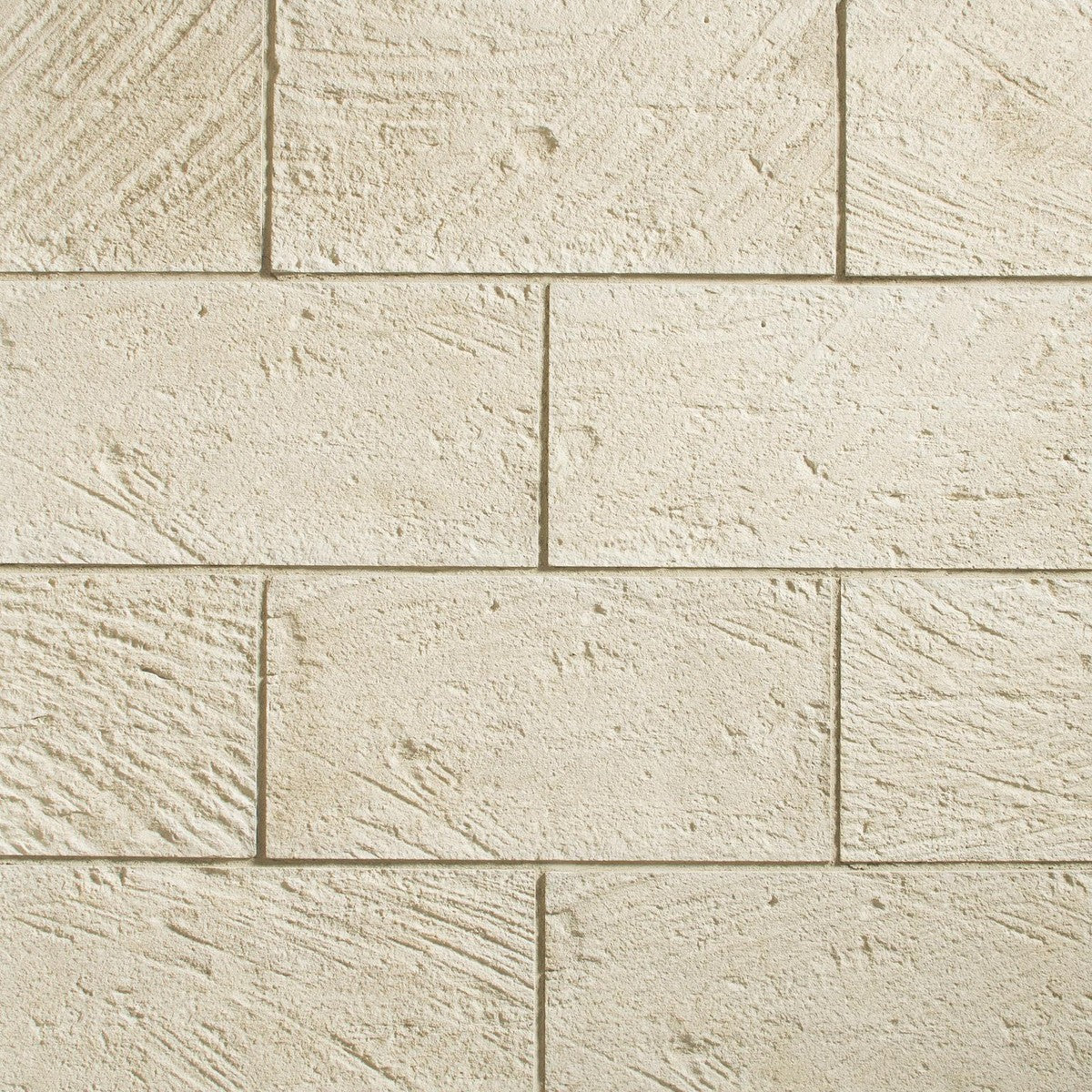 Creative Mines Carved Rectangle 10" x 20" Sandollar Stone Veneer stone veneer by Creative Mines