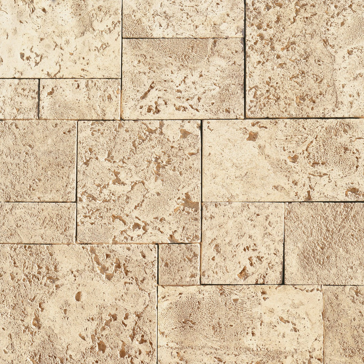 Eldorado CoastalReef Pearl White Stone Veneer stone veneer by Eldorado Stone