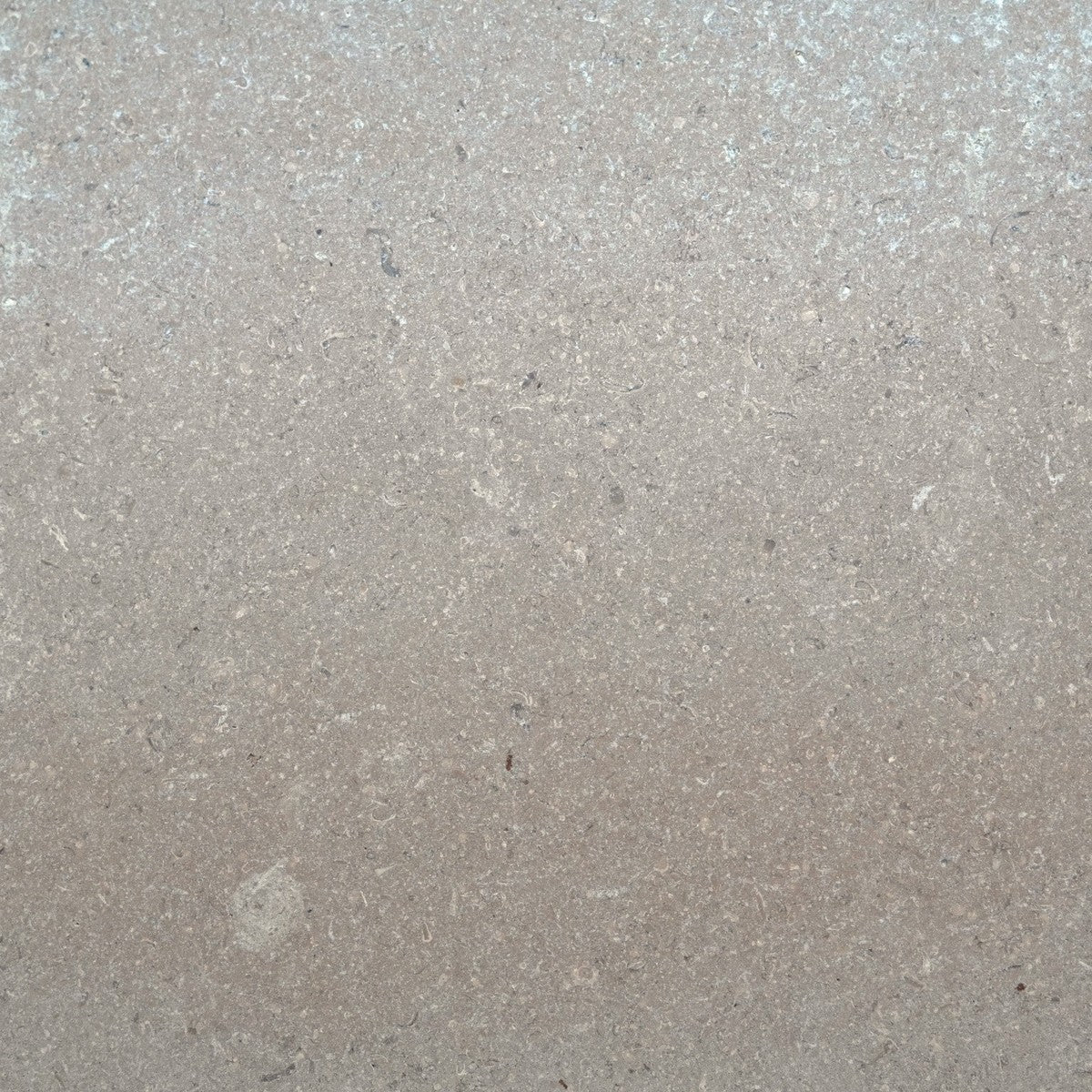 Champagne Taupe