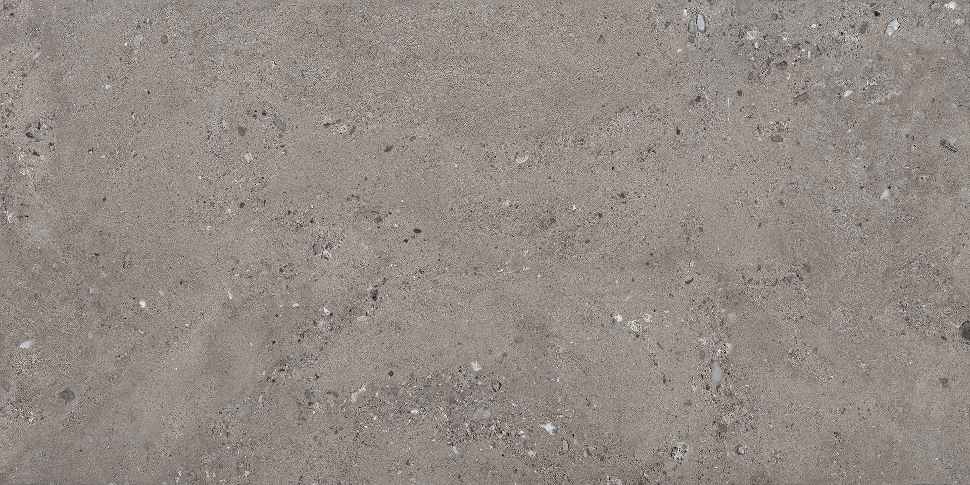 Shellstone Dark Gray porcelain field tile by Emil, naturale finish, 23 5/8"x47 1/4"x9.5-mm size. Premium Italian porcelain for floors and walls.