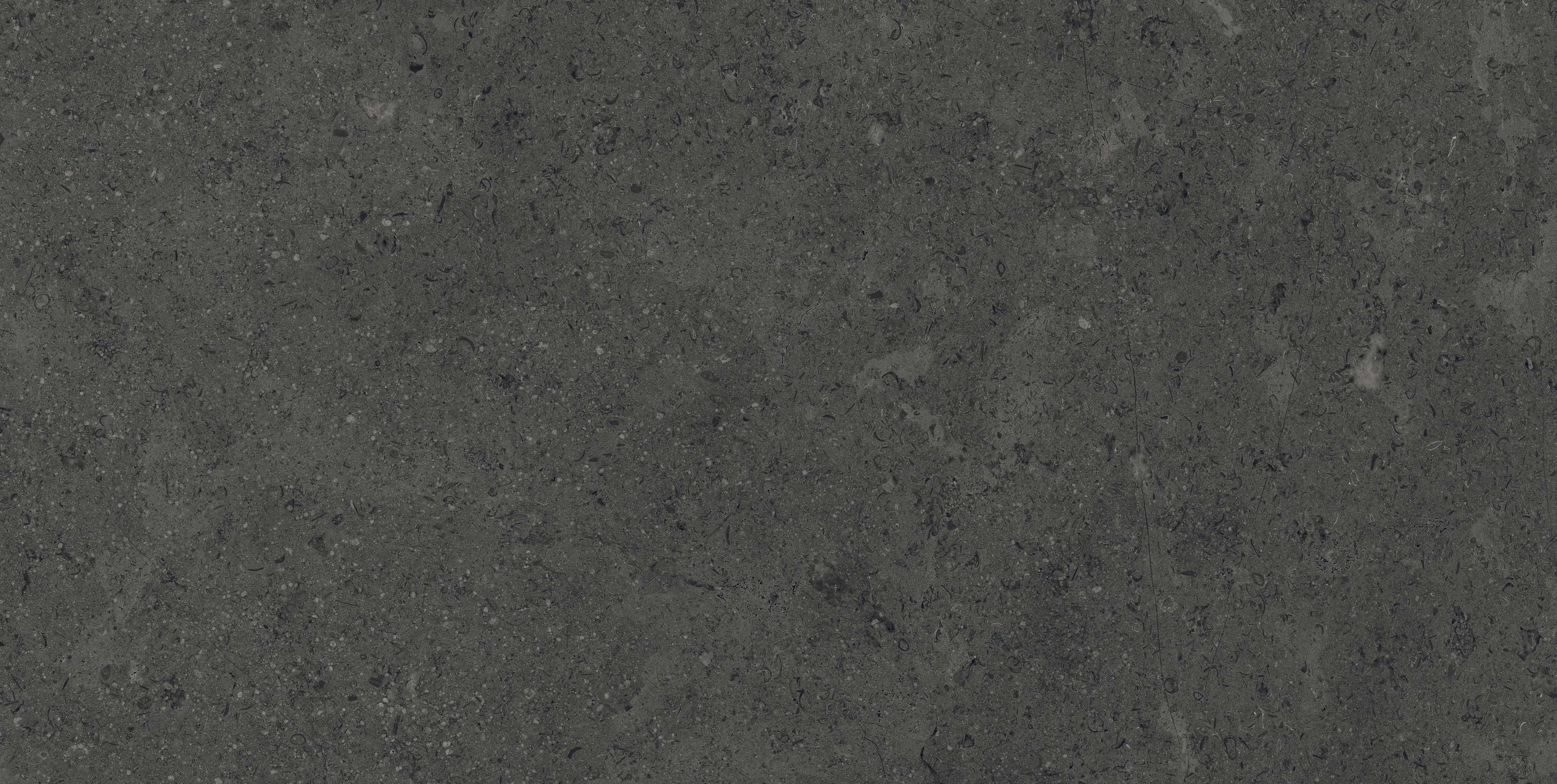 Mood Charcoal porcelain field tile, top-down product view, 12"×24"×11/32" size. Premium porcelain for floors and walls.