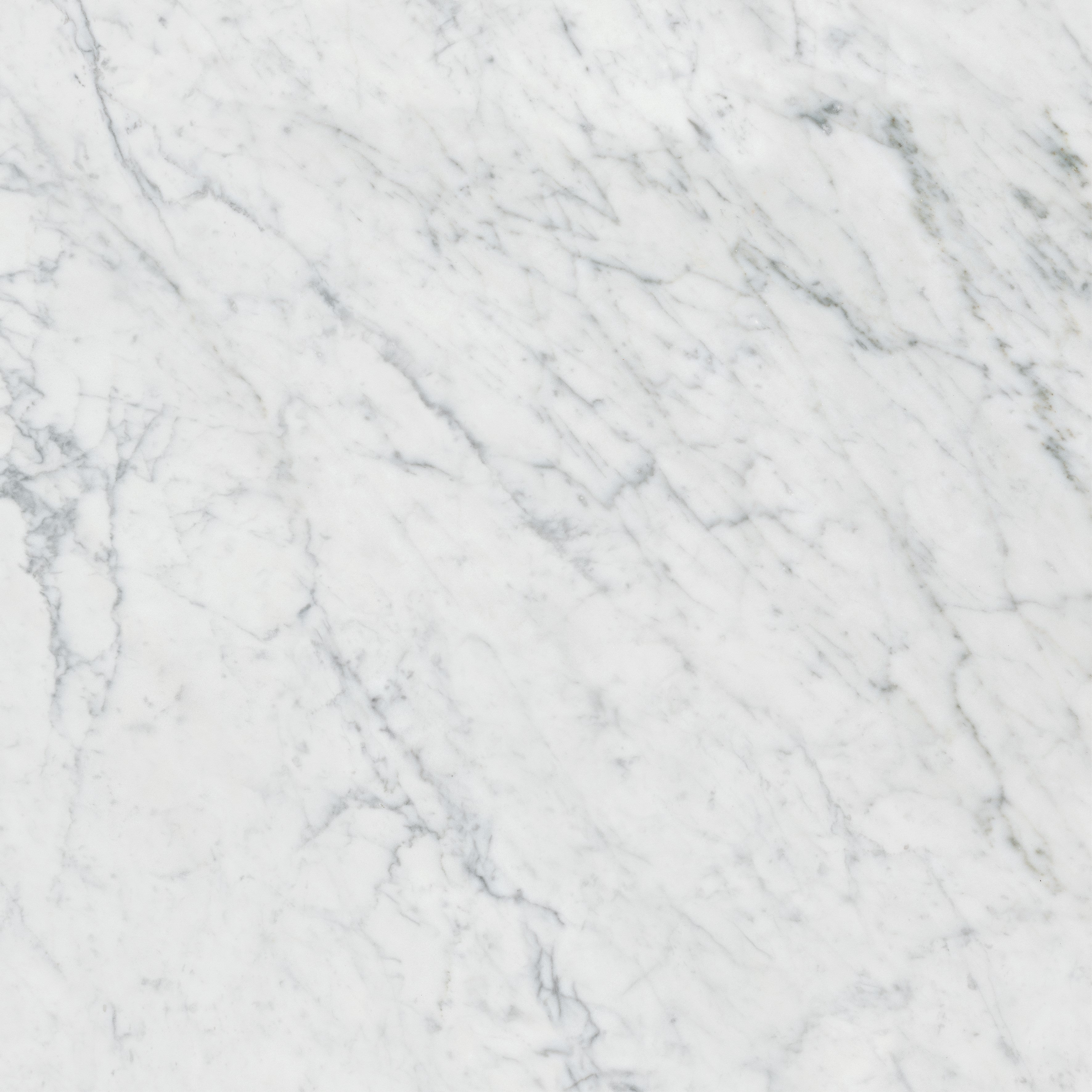 CHARME EVO Michelangelo Extra White porcelain field tile, top-down product view, 24"×11/32" size. Premium porcelain for floors and walls.