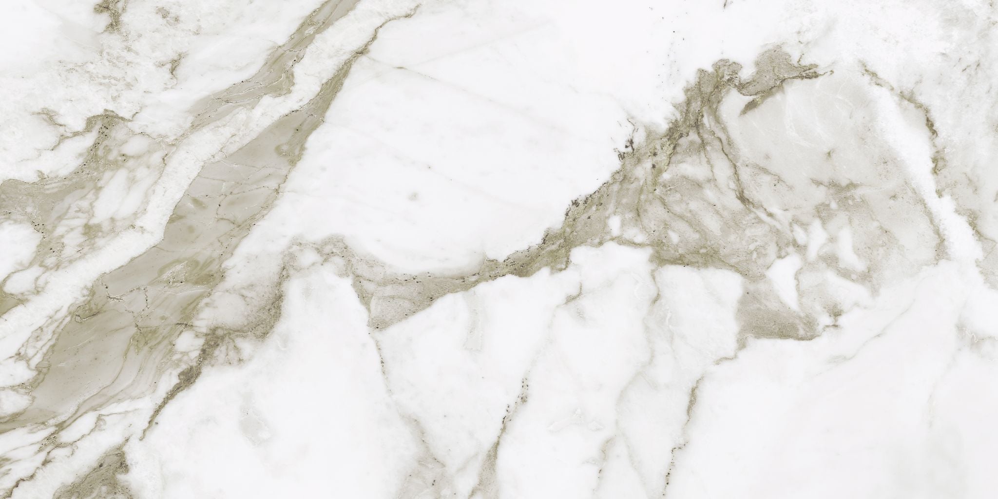 field tile by Anatolia Tile, top-down product view, 12"×24" size. Premium porcelain for floors and walls.