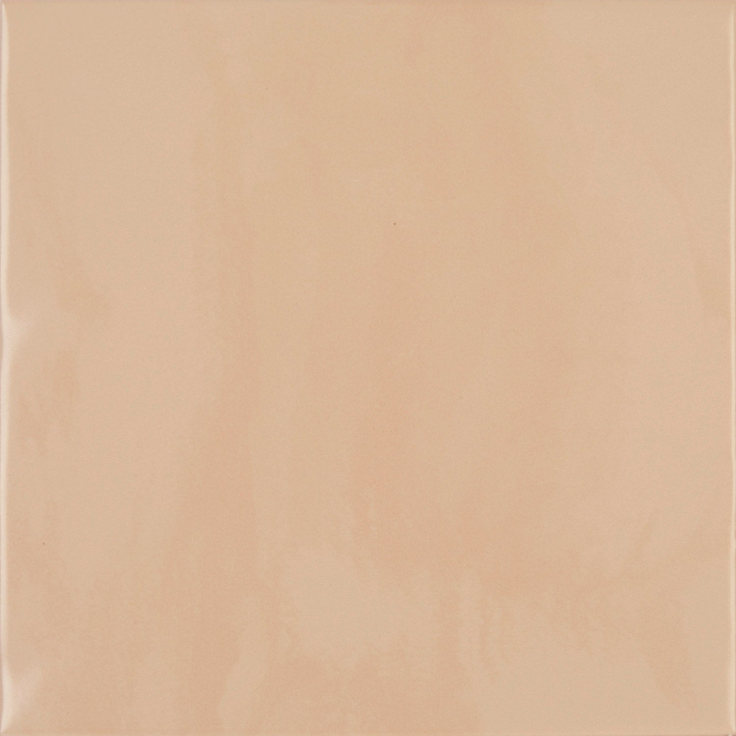 CHROMATIC SYMPHONY: Seedling Serenity Field Tile (6"x6"x9-mm | matte | pressed)