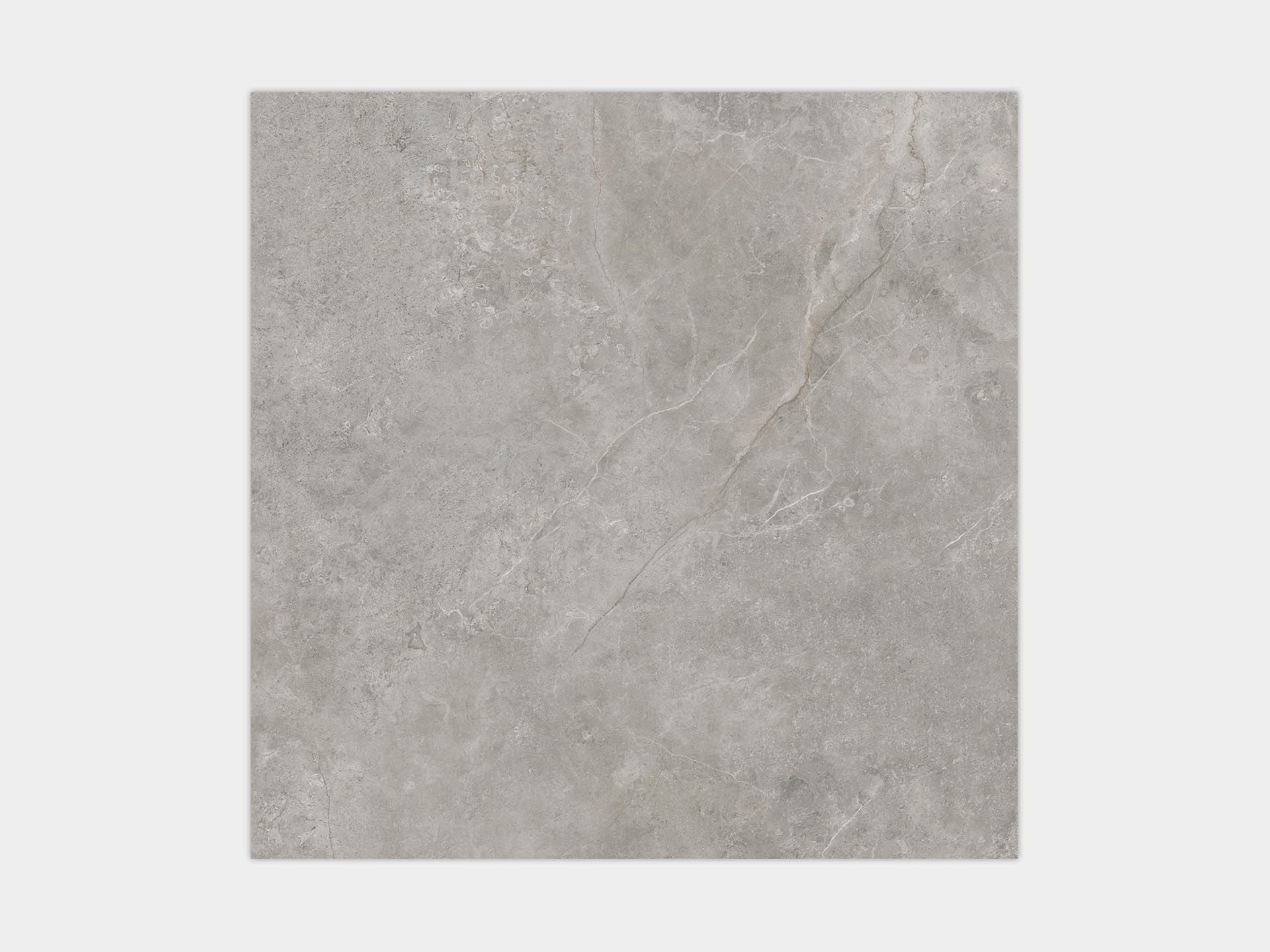 Fiori Di Bosco Gray Floor Tile (47x47x6-mm | polished)