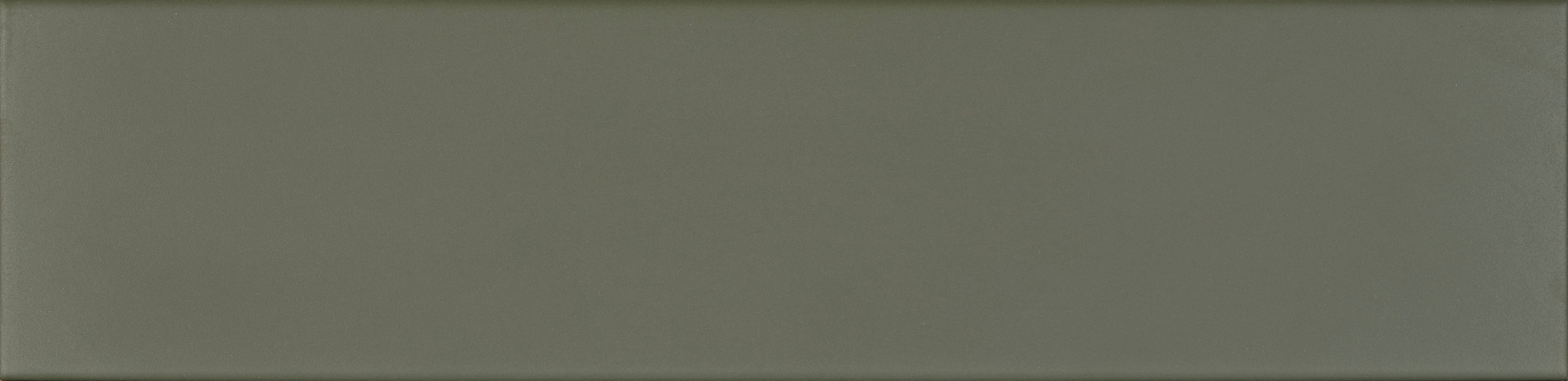 EARTHLY IMPRESSIONS: Cactus Whisper Field Tile (3"x14"x8-mm | matte | pressed)