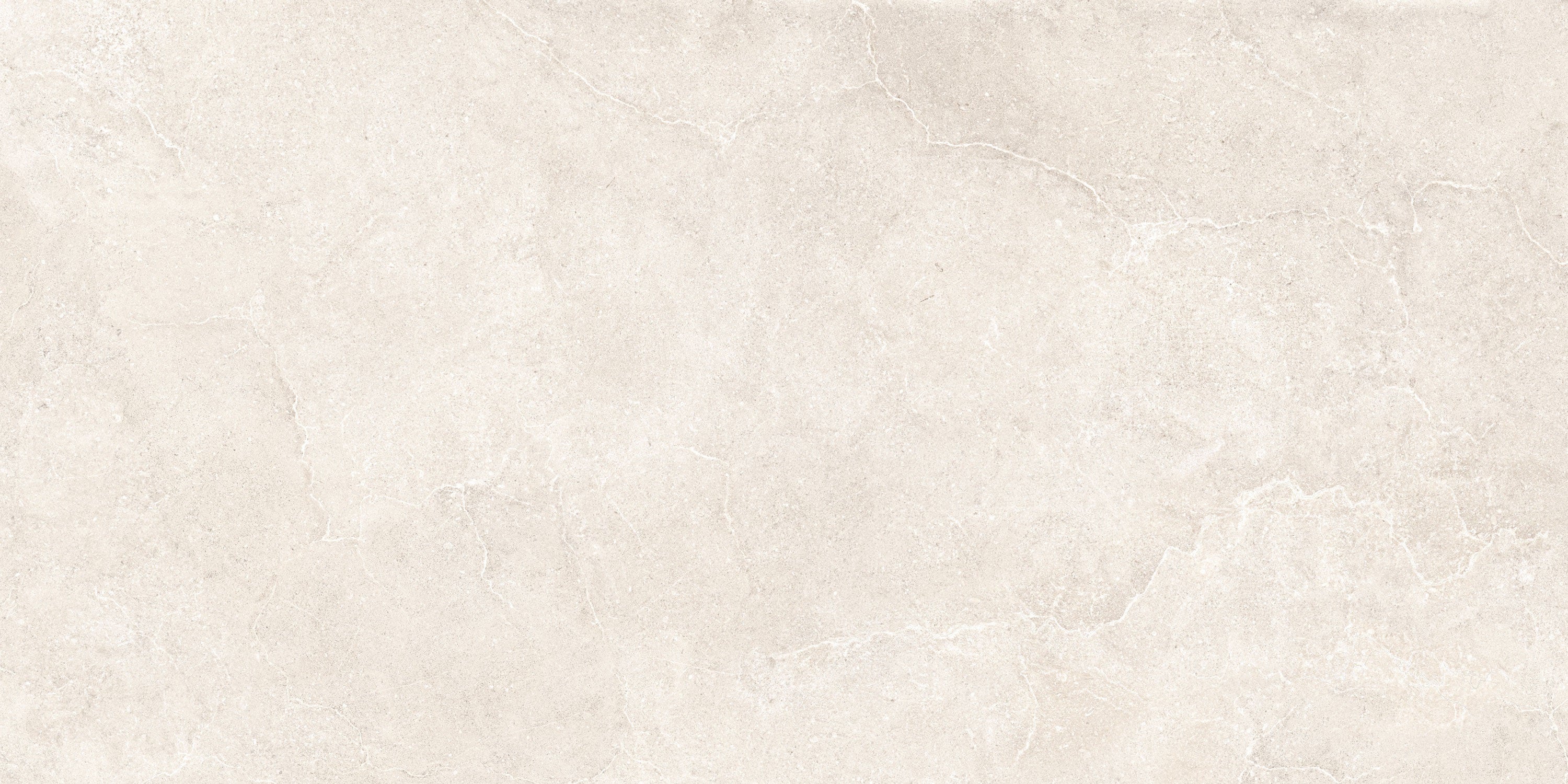 Charleston Charleston_white porcelain field tile, top-down product view, 24"×48"×5/16" size. Premium porcelain for floors and walls.