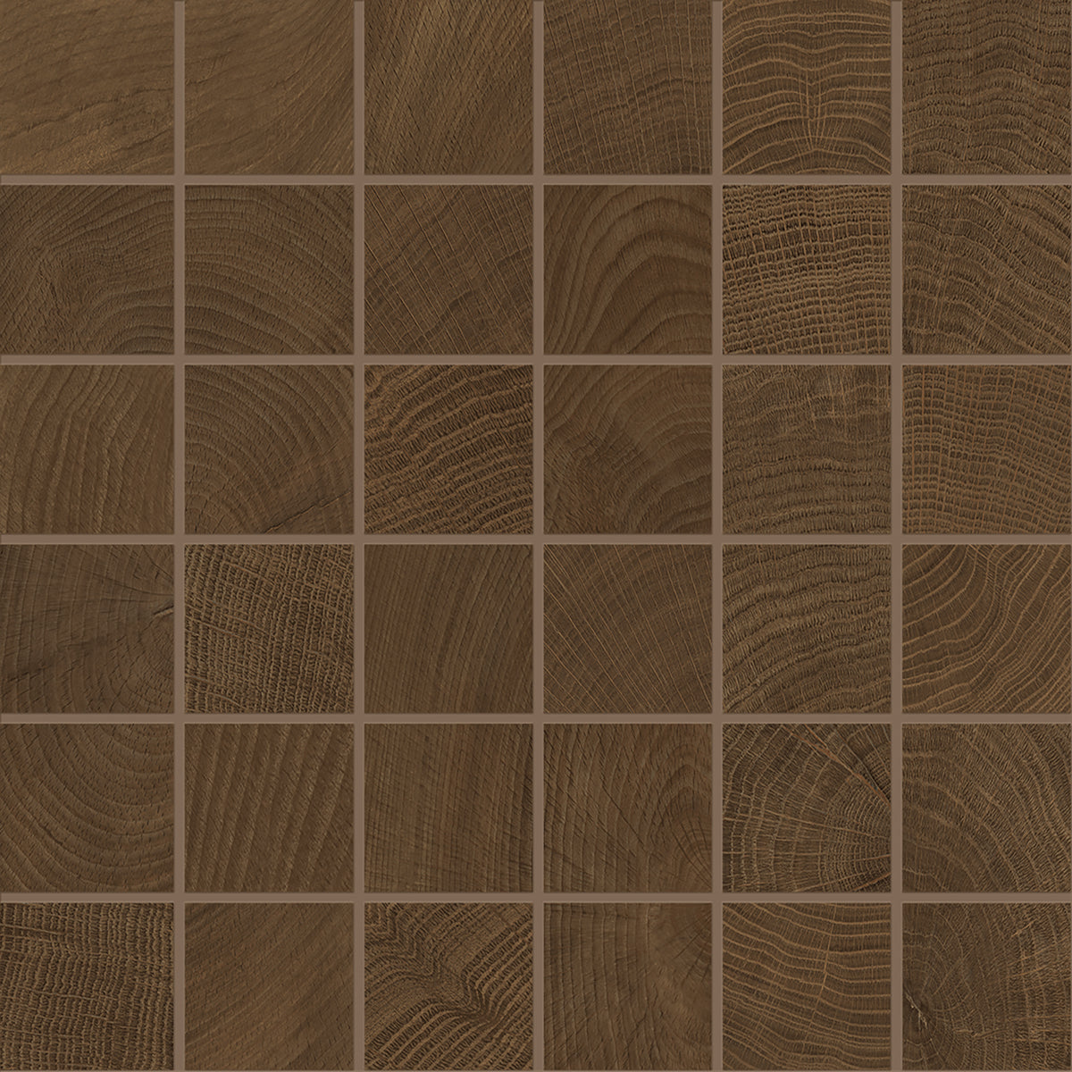W-Circles Wenge' porcelain mosaic tile by Emil, naturale finish, 11 13/16"x11 13/16"x9-mm size. Premium Italian porcelain for floors and walls.