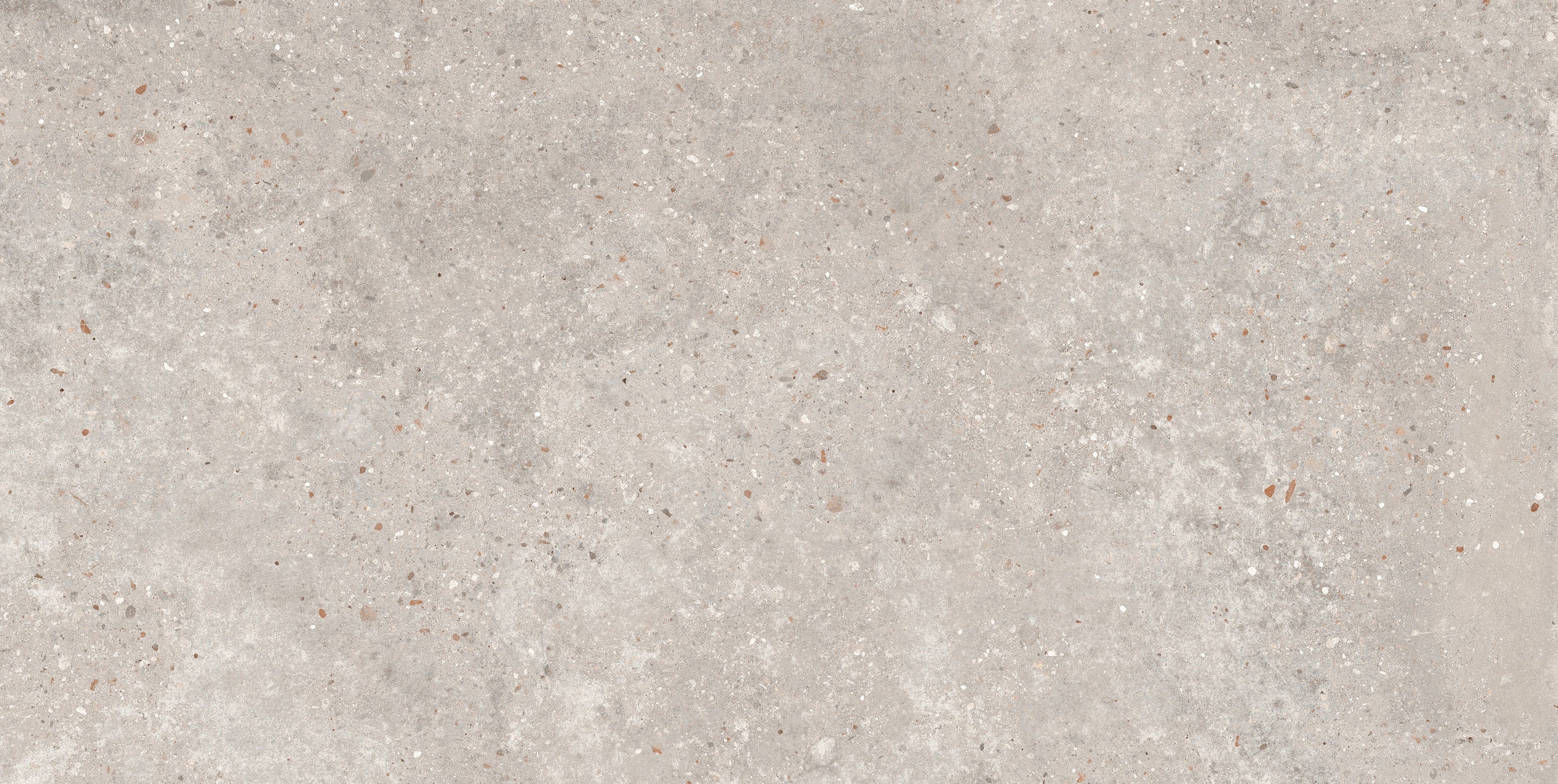 Berlin Grey porcelain field tile, top-down product view, 12"×24"×5/16" size. Premium porcelain for floors and walls.