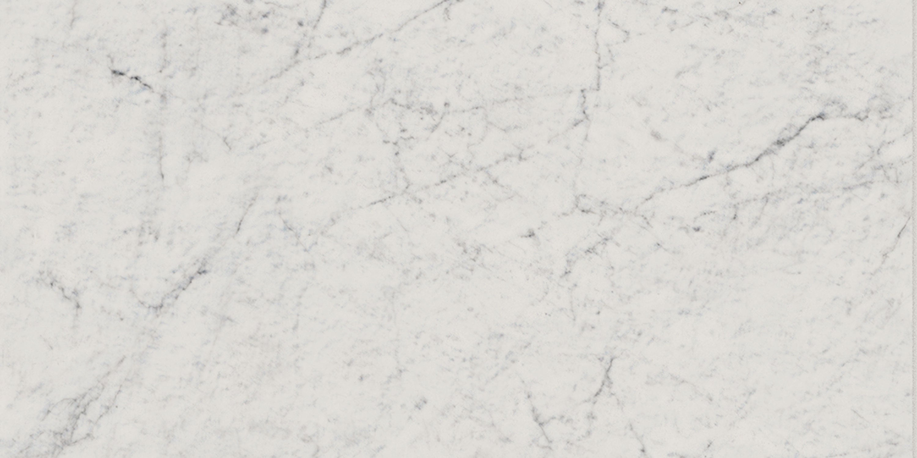 FRONTIER20 Michelangelo Extra White porcelain pavers, top-down product view, 12"×24"×25/32" size. Premium porcelain for floors and walls.
