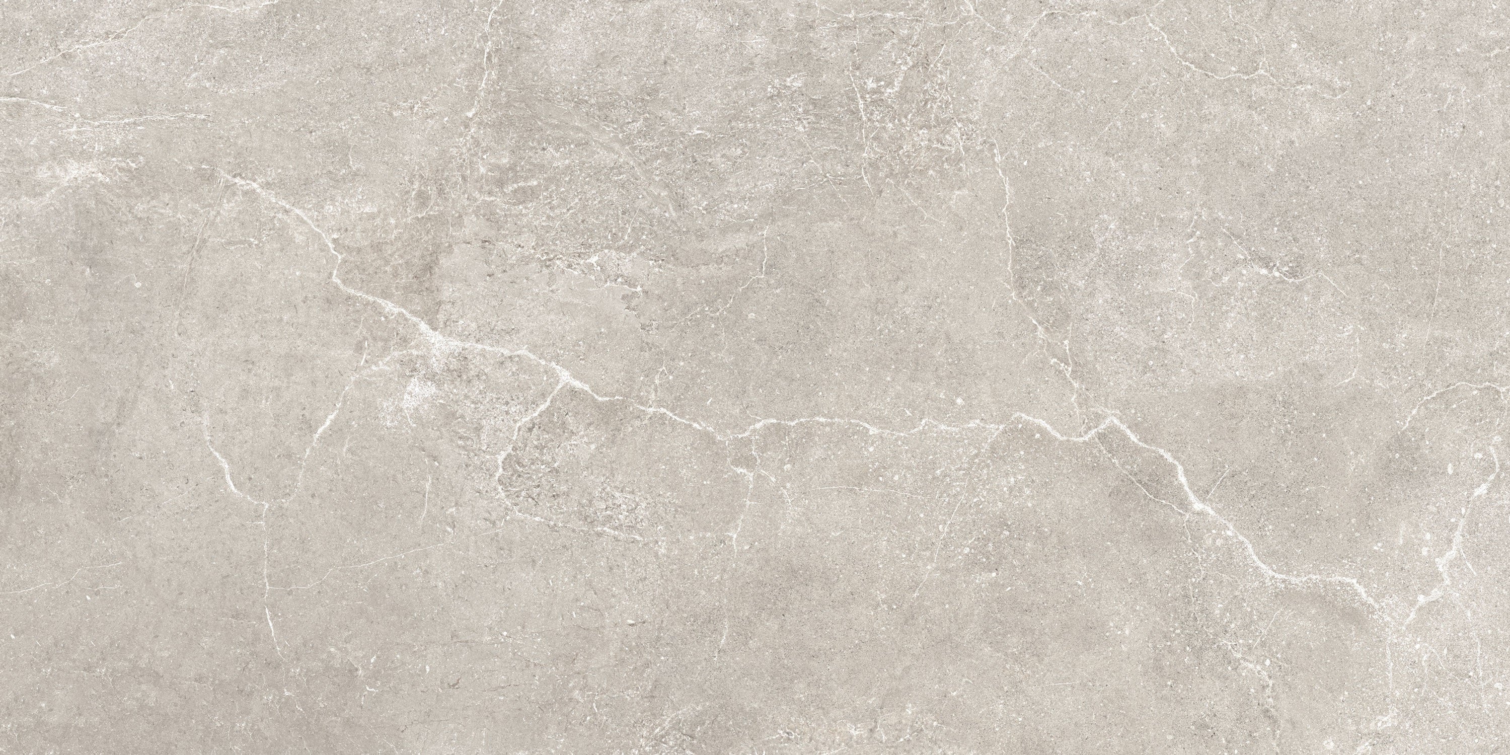 Charleston Grey porcelain field tile, top-down product view, 24"×48"×5/16" size. Premium porcelain for floors and walls.