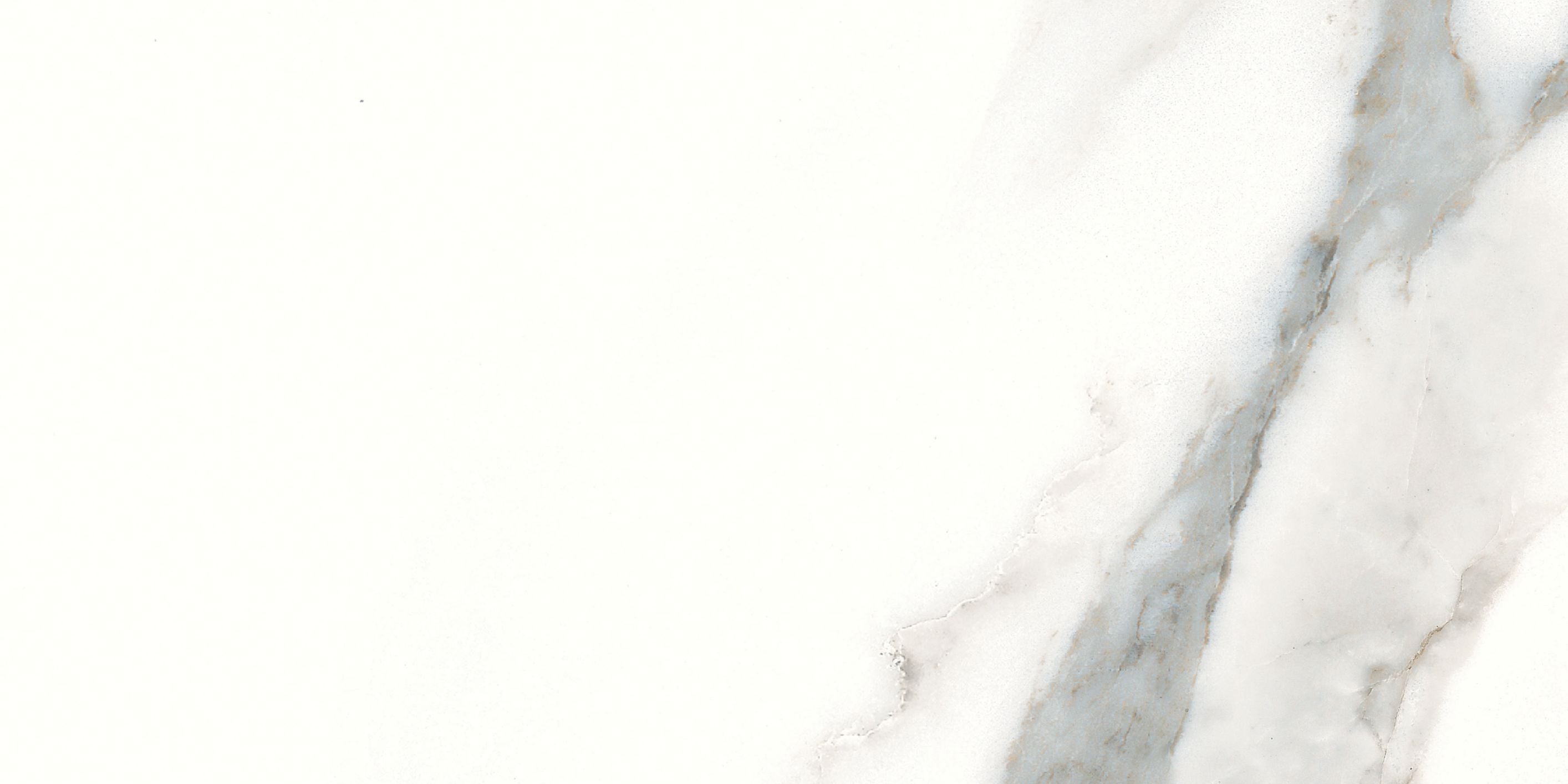 Classic field tile by Anatolia Tile, top-down product view, 6"×12" size. Premium porcelain for floors and walls.
