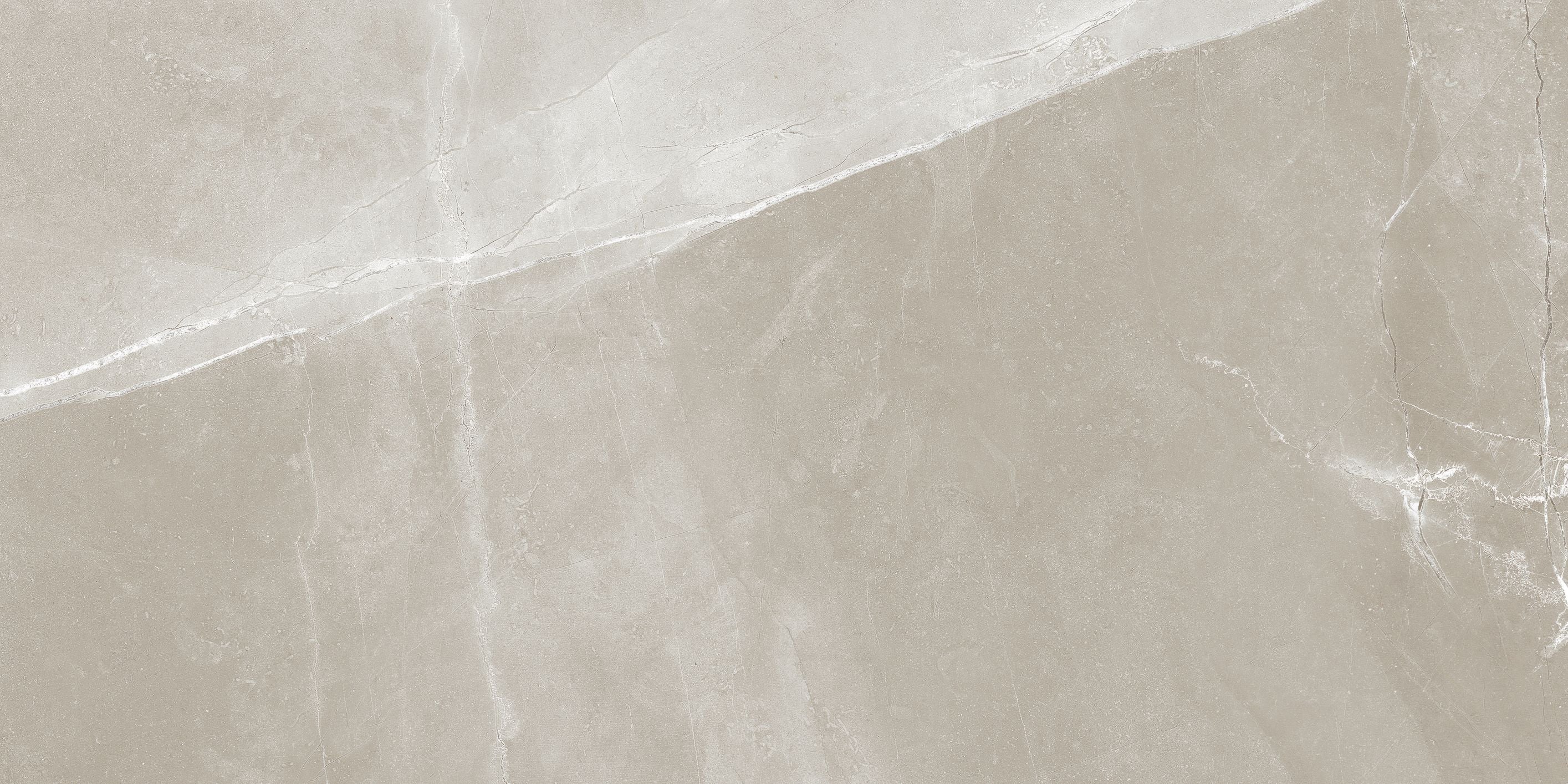 Classic field tile by Anatolia Tile, top-down product view, 12"×24" size. Premium porcelain for floors and walls.