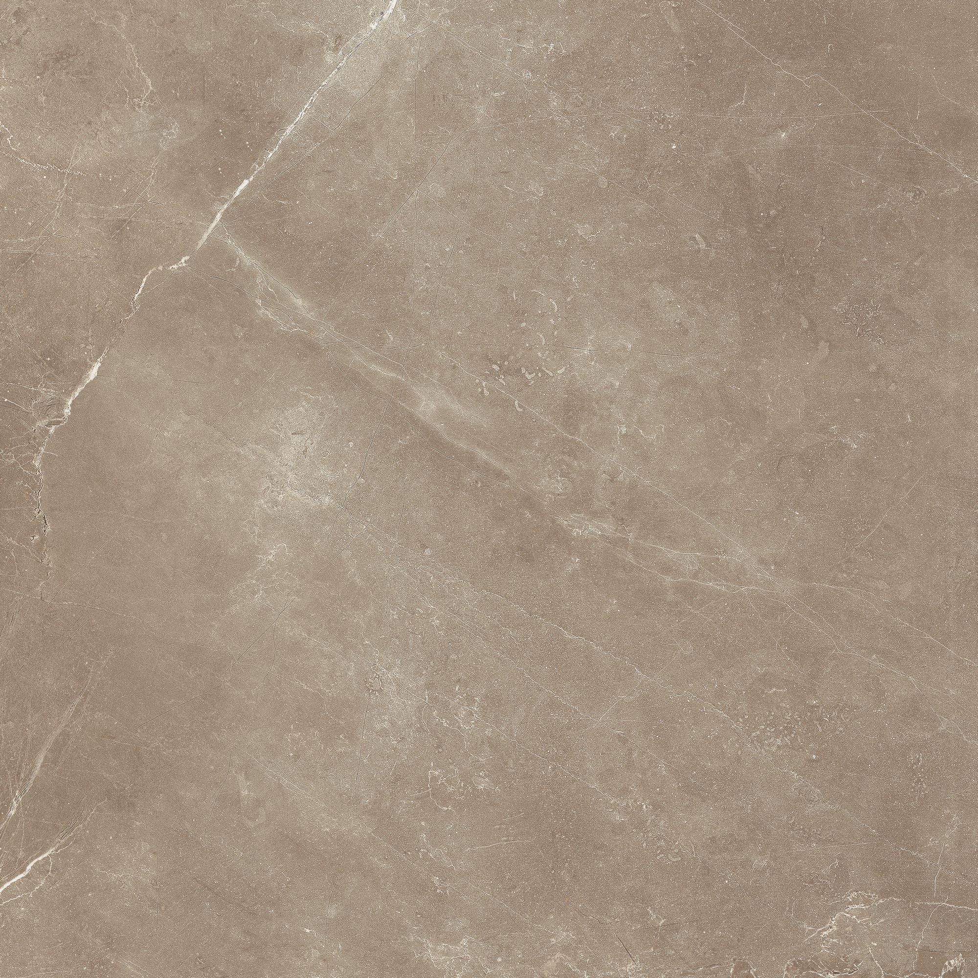 Classic field tile by Anatolia Tile, top-down product view, 18" size. Premium porcelain for floors and walls.
