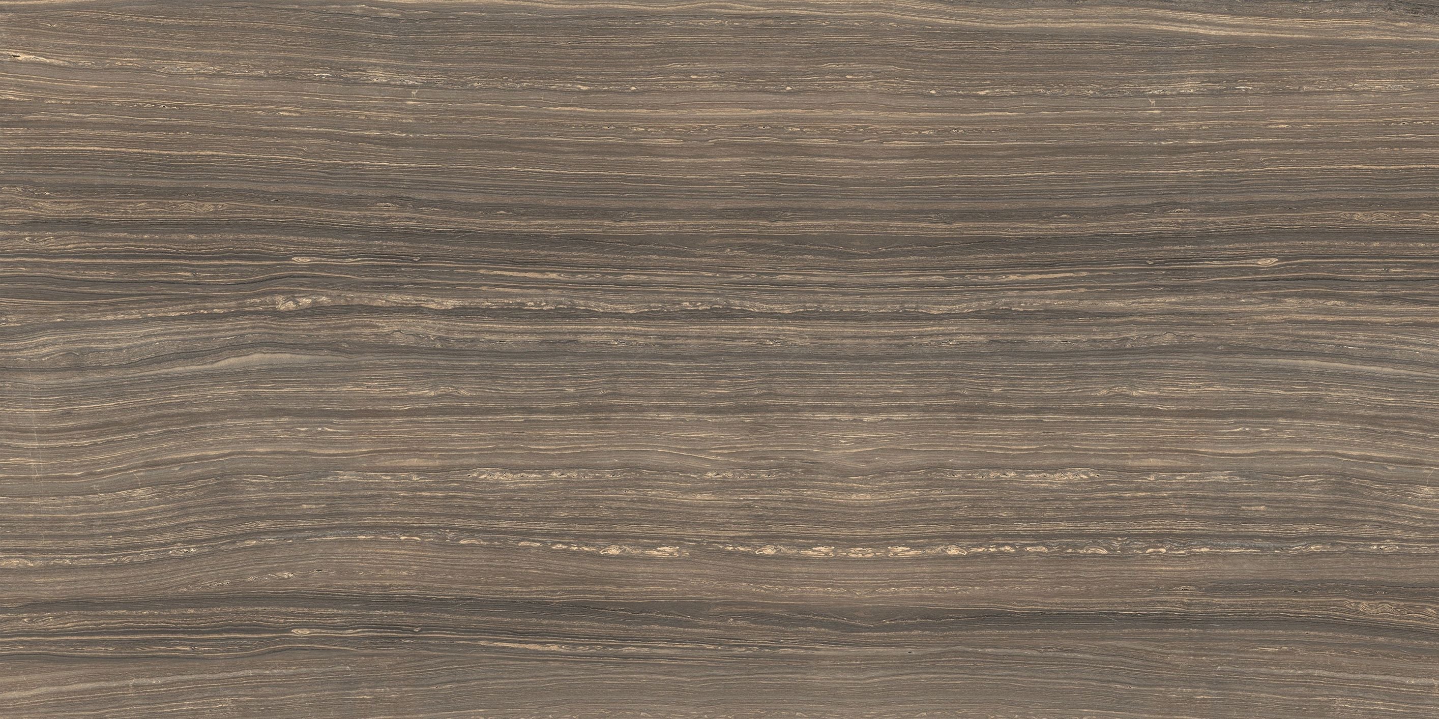 Eramosa field tile by Anatolia Tile, top-down product view, 12"×24" size. Premium porcelain for floors and walls.