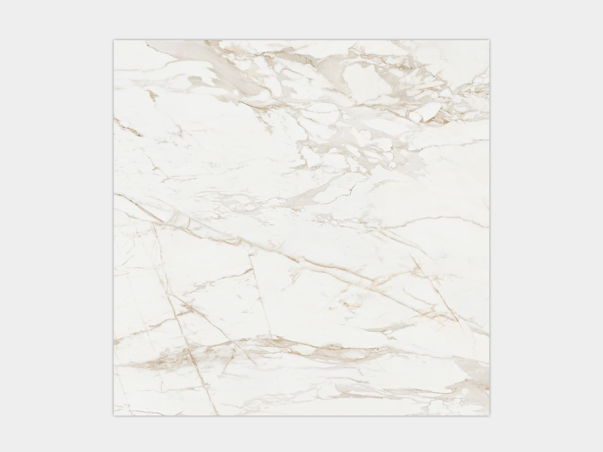 Massa White Pulido Floor Tile (47x47x8.5-mm | polished)