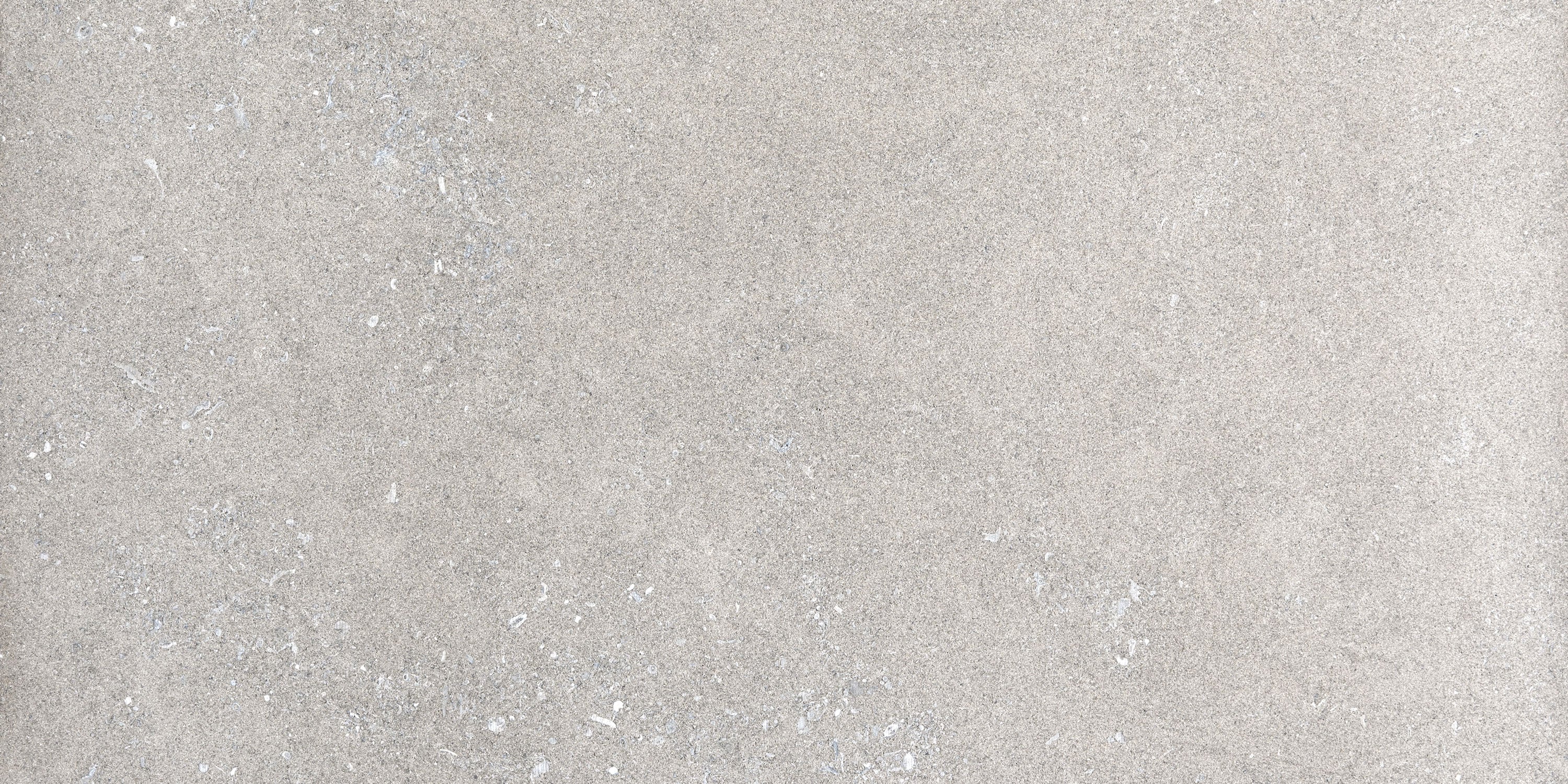 FRONTIER20 Indiana Variegated porcelain pavers, top-down product view, 12"×24"×25/32" size. Premium porcelain for floors and walls.