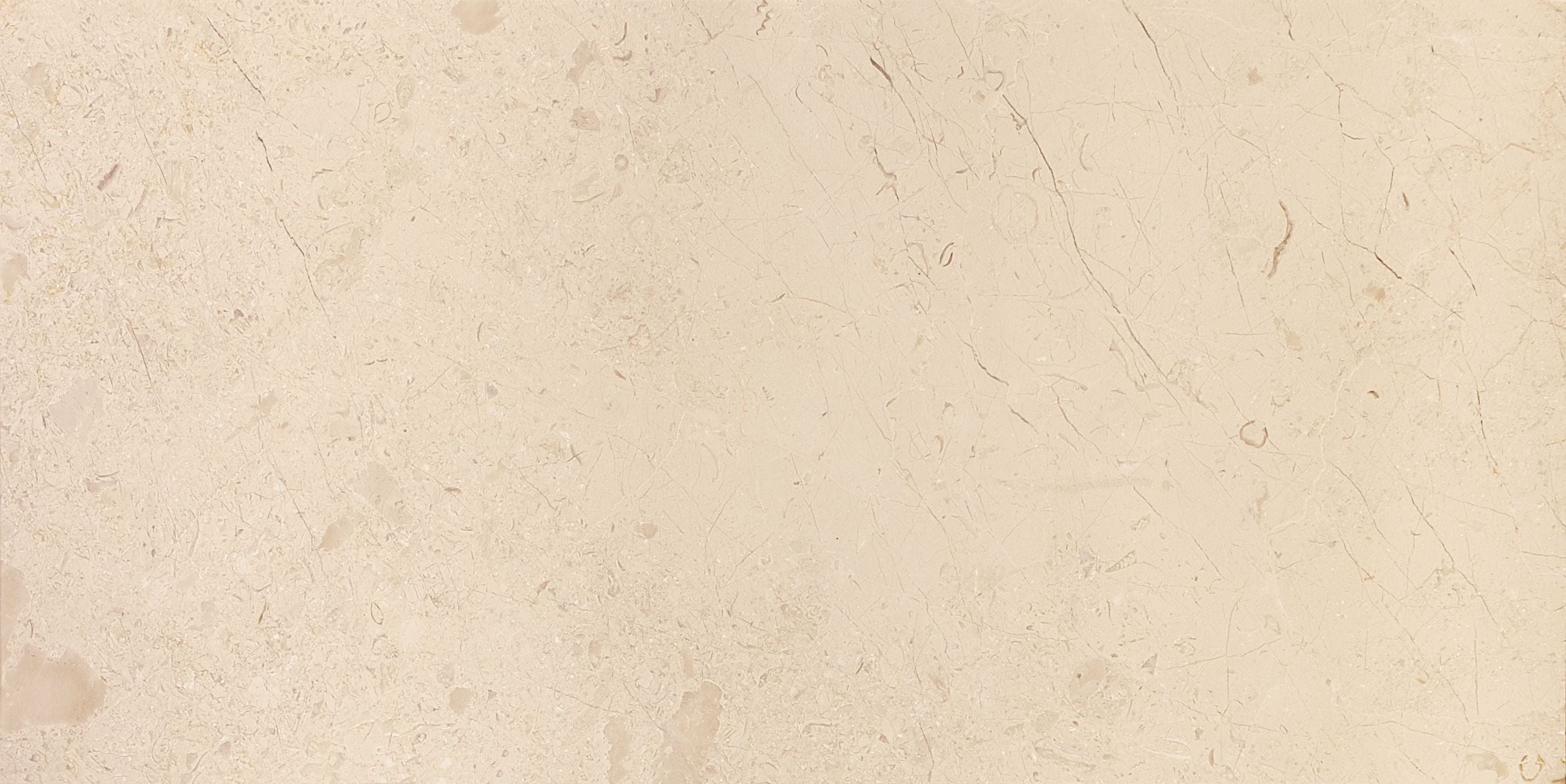 field tile by Anatolia Tile, top-down product view, 12"×24" size. Premium porcelain for floors and walls.