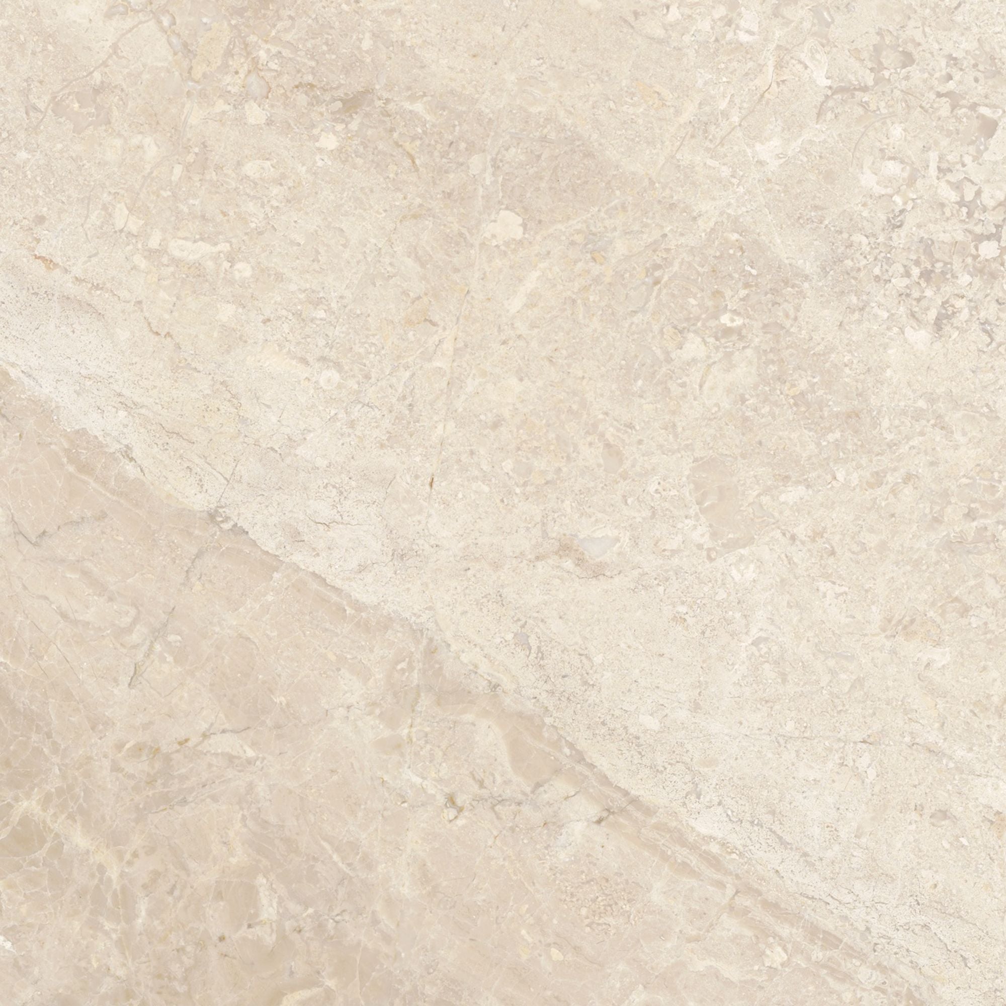 Impero Reale field tile by Anatolia Tile, top-down product view, 12" size. Premium porcelain for floors and walls.