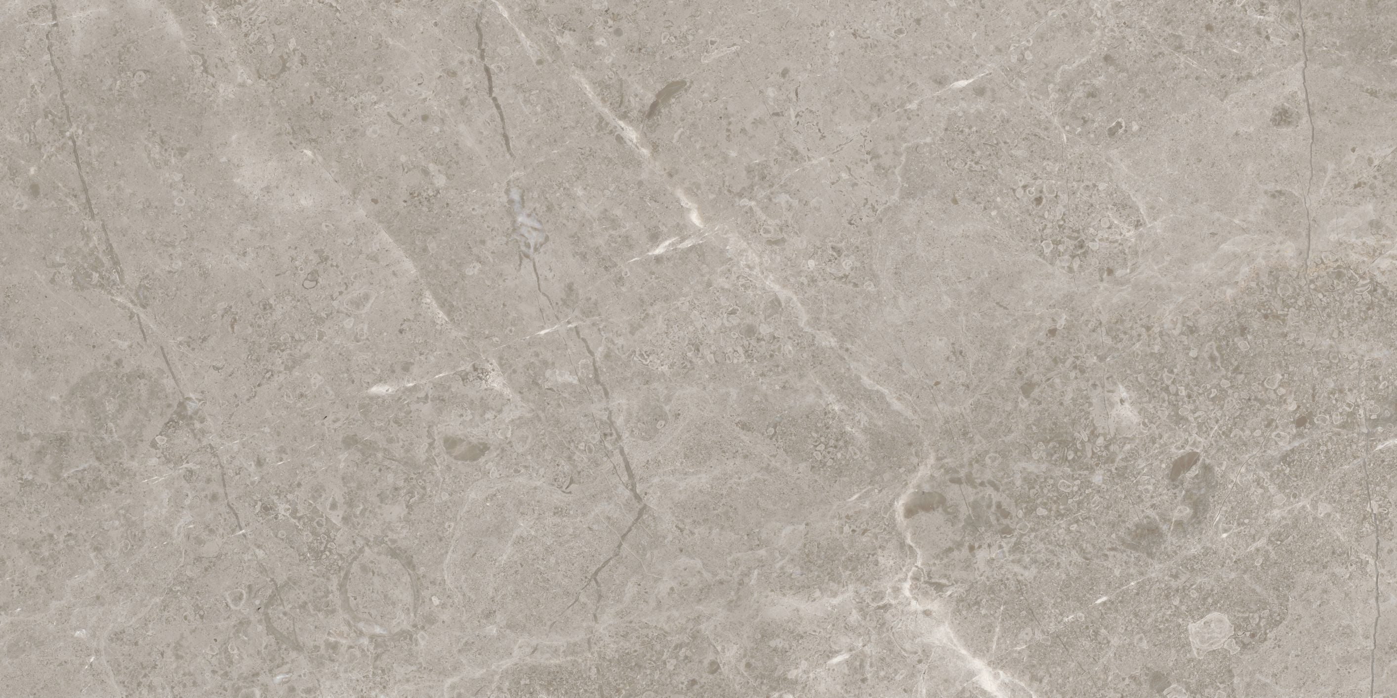 Ritz Gray field tile by Anatolia Tile, top-down product view, 12"×24" size. Premium porcelain for floors and walls.