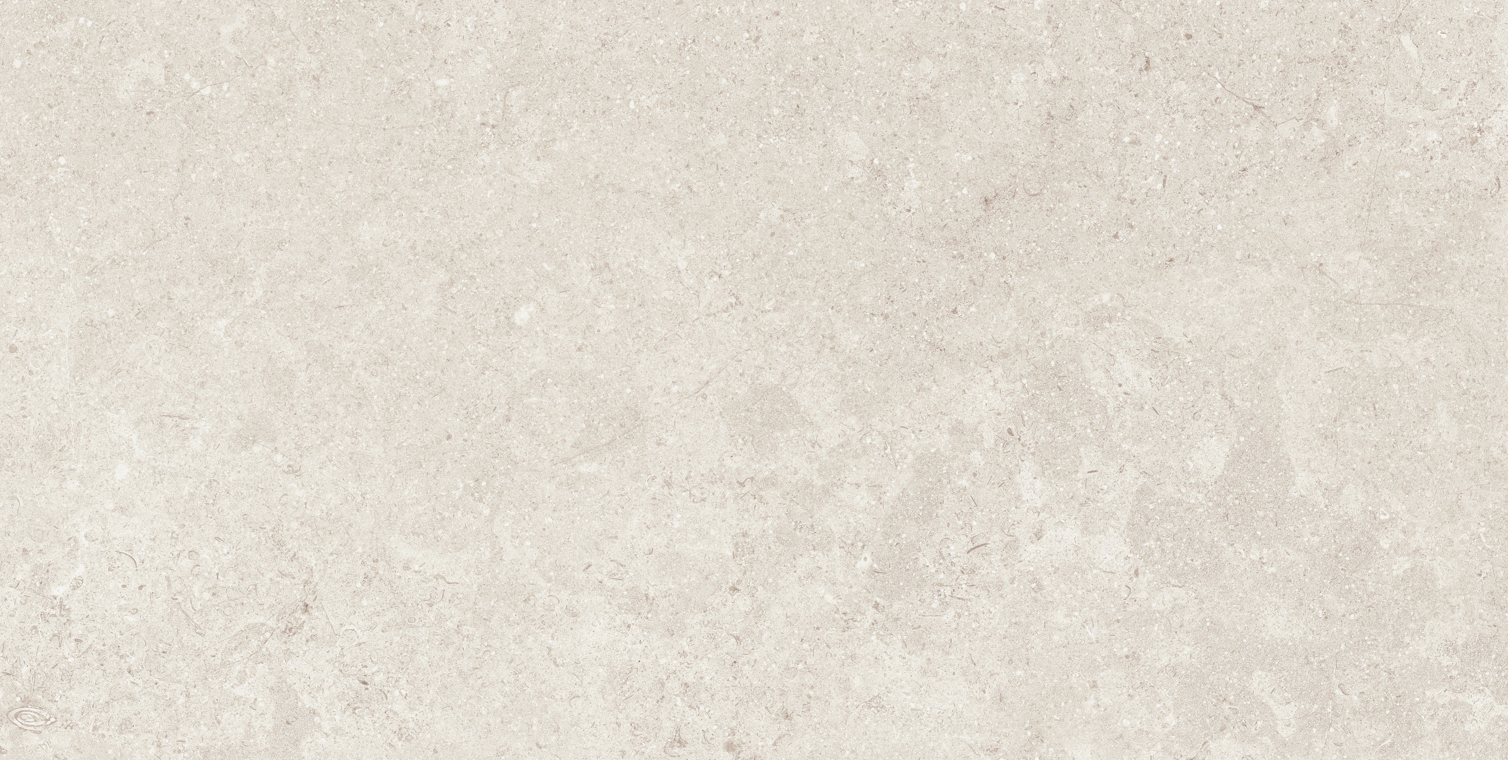 Mood Frost porcelain pavers, top-down product view, 12"×24"×11/32" size. Premium porcelain for floors and walls.