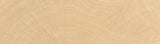 W-CIRCLES: Fondo Oak Porcelain Field Tile (2 1/8"x11 13/16"x9.5-mm | naturale | rectified)