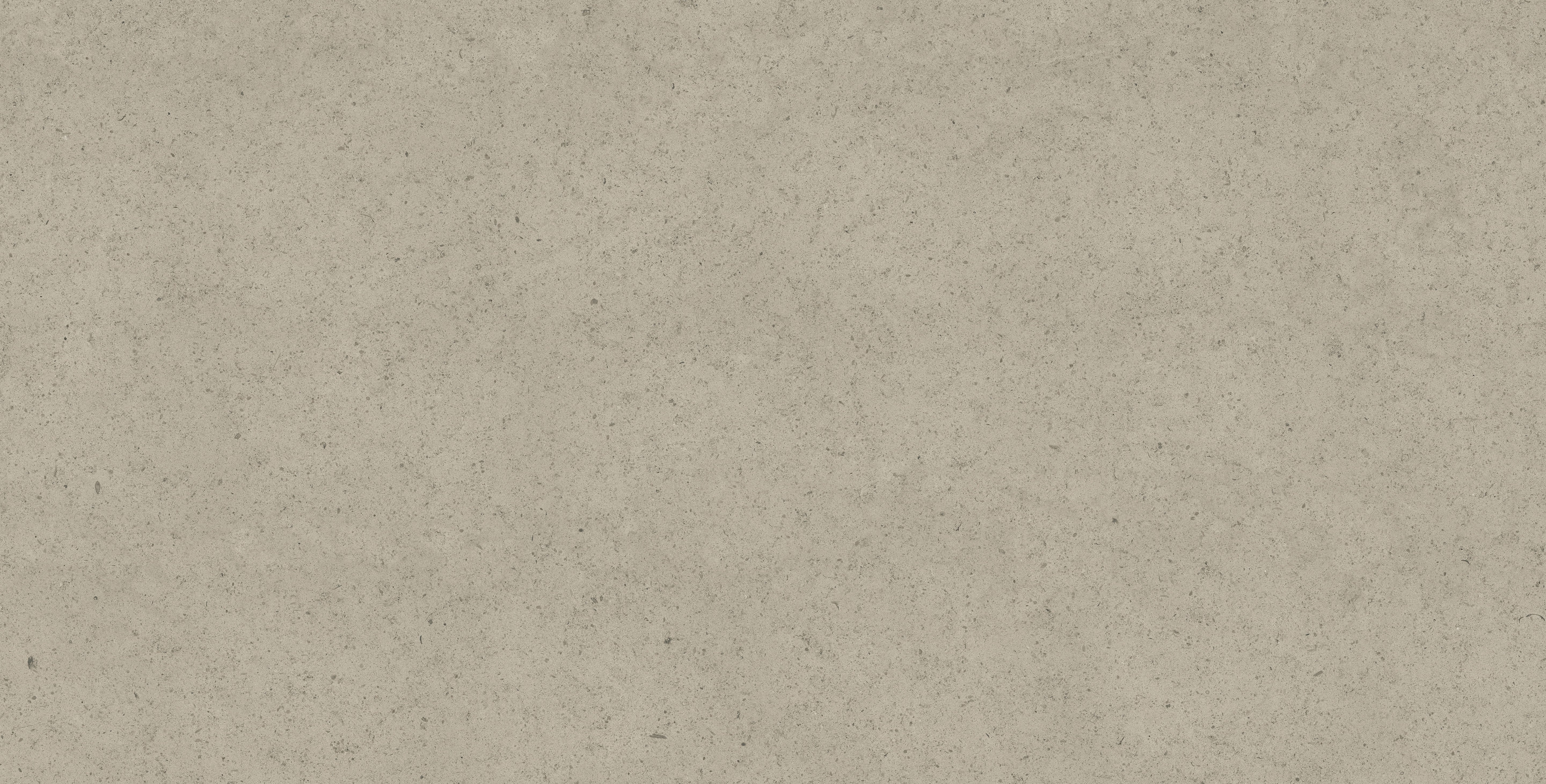 Mood Greige porcelain field tile, top-down product view, 24"×48"×11/32" size. Premium porcelain for floors and walls.