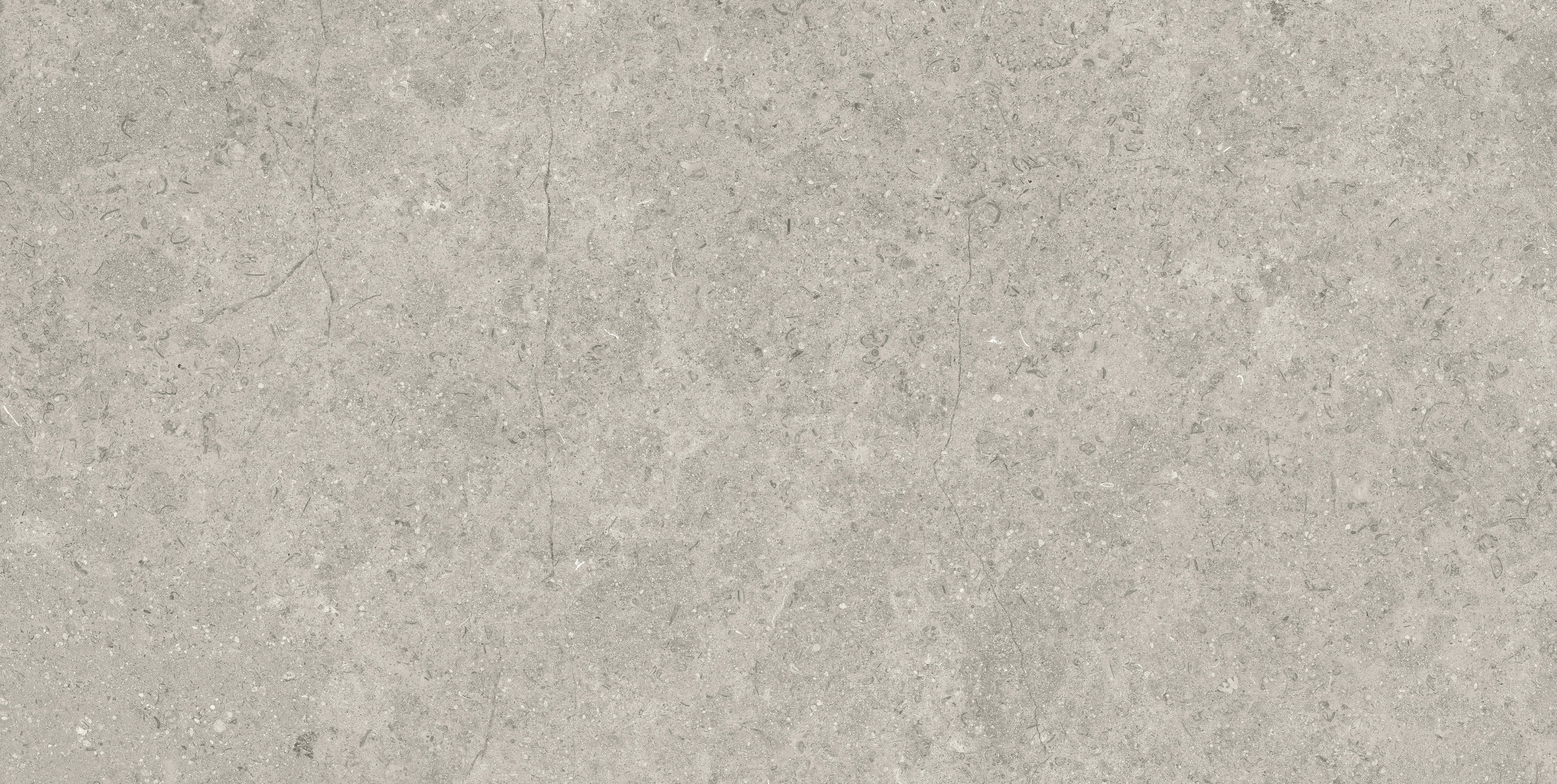 Mood Ash porcelain field tile, top-down product view, 24"×48"×11/32" size. Premium porcelain for floors and walls.