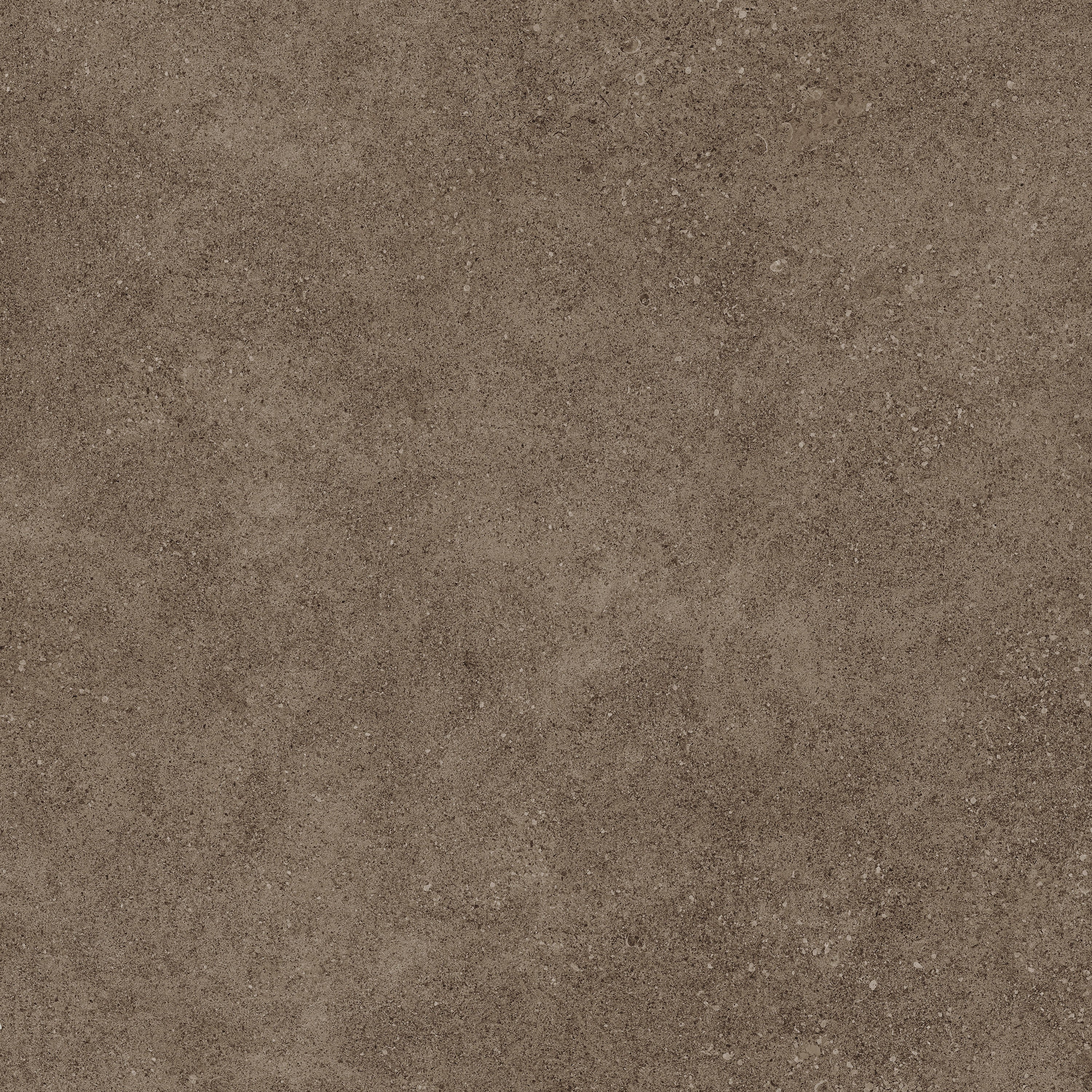 INFINITY Earth porcelain field tile, top-down product view, 24"×11/32" size. Premium porcelain for floors and walls.