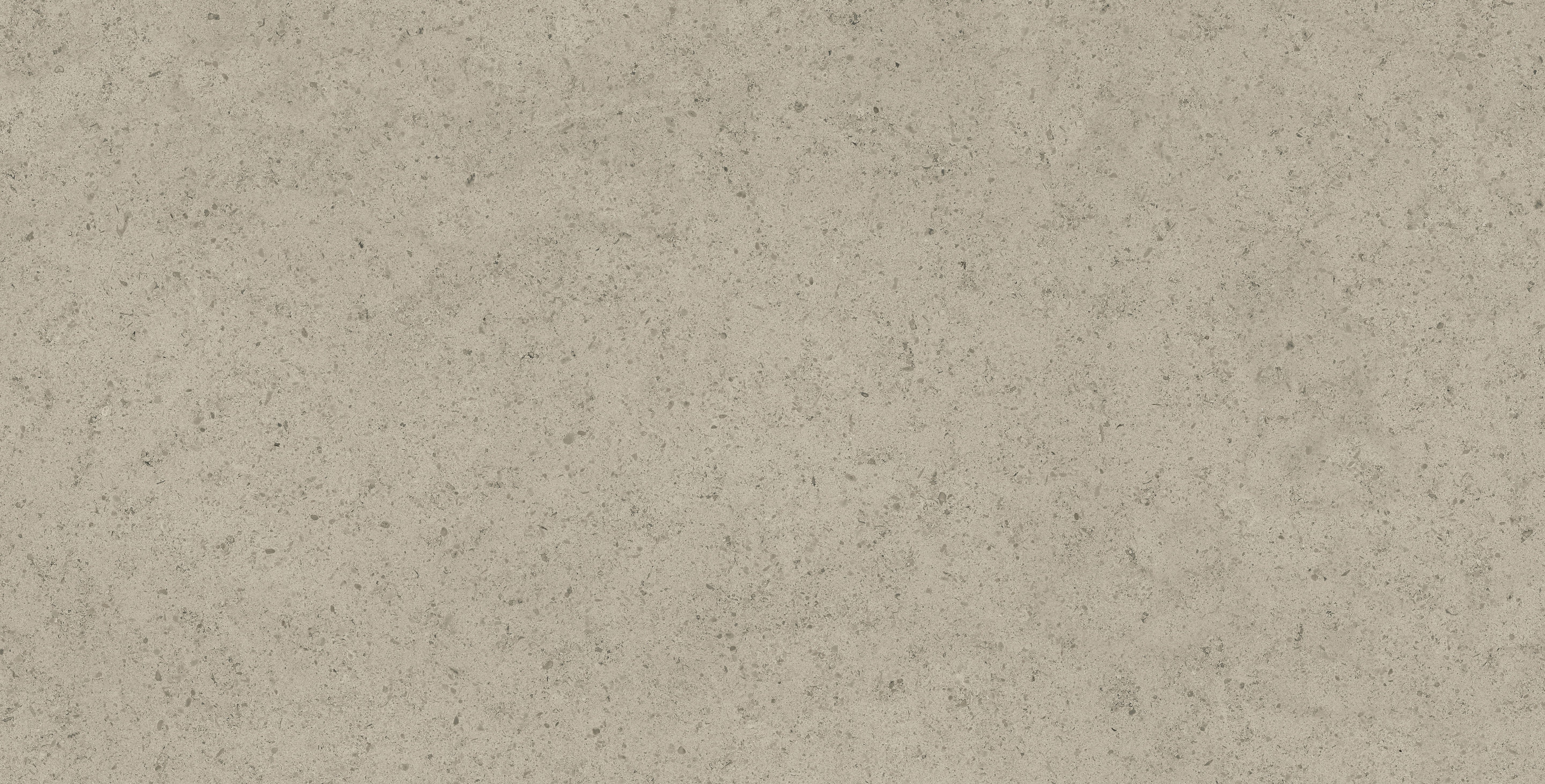 Mood Greige porcelain field tile, top-down product view, 12"×24"×11/32" size. Premium porcelain for floors and walls.