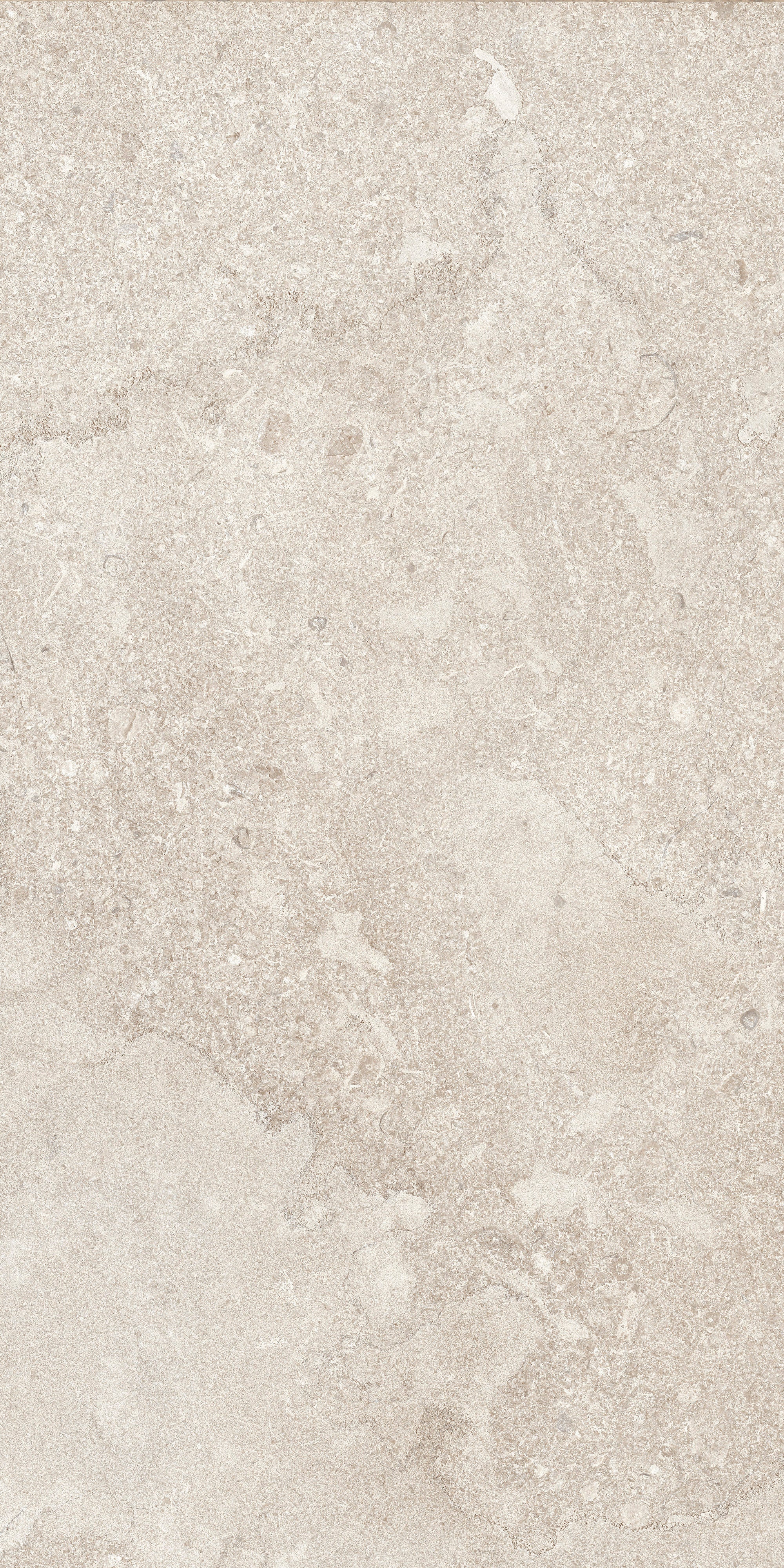 AURORA ELEGANCE: Ivory Illumination Field Tile (12"x24"x8-mm | natural | rectified)