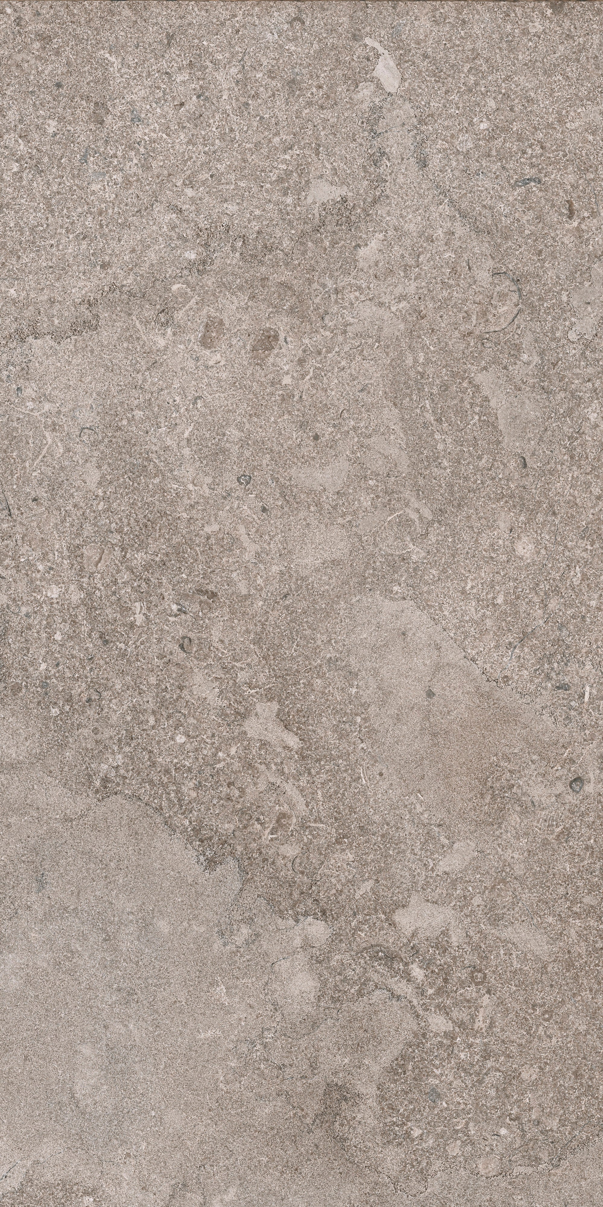 AURORA ELEGANCE: Fendi Frost Field Tile (12"x24"x8-mm | natural | rectified)