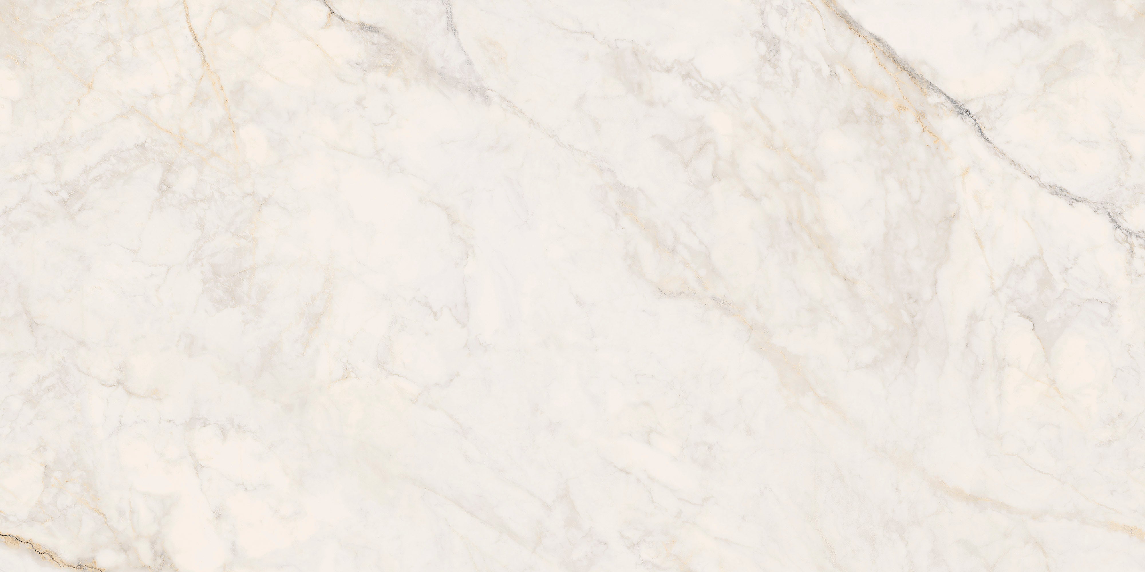 GOLDEN APUAN: Apuan Sunrise Field Tile (24"x48"x8.5-mm | polished | rectified)