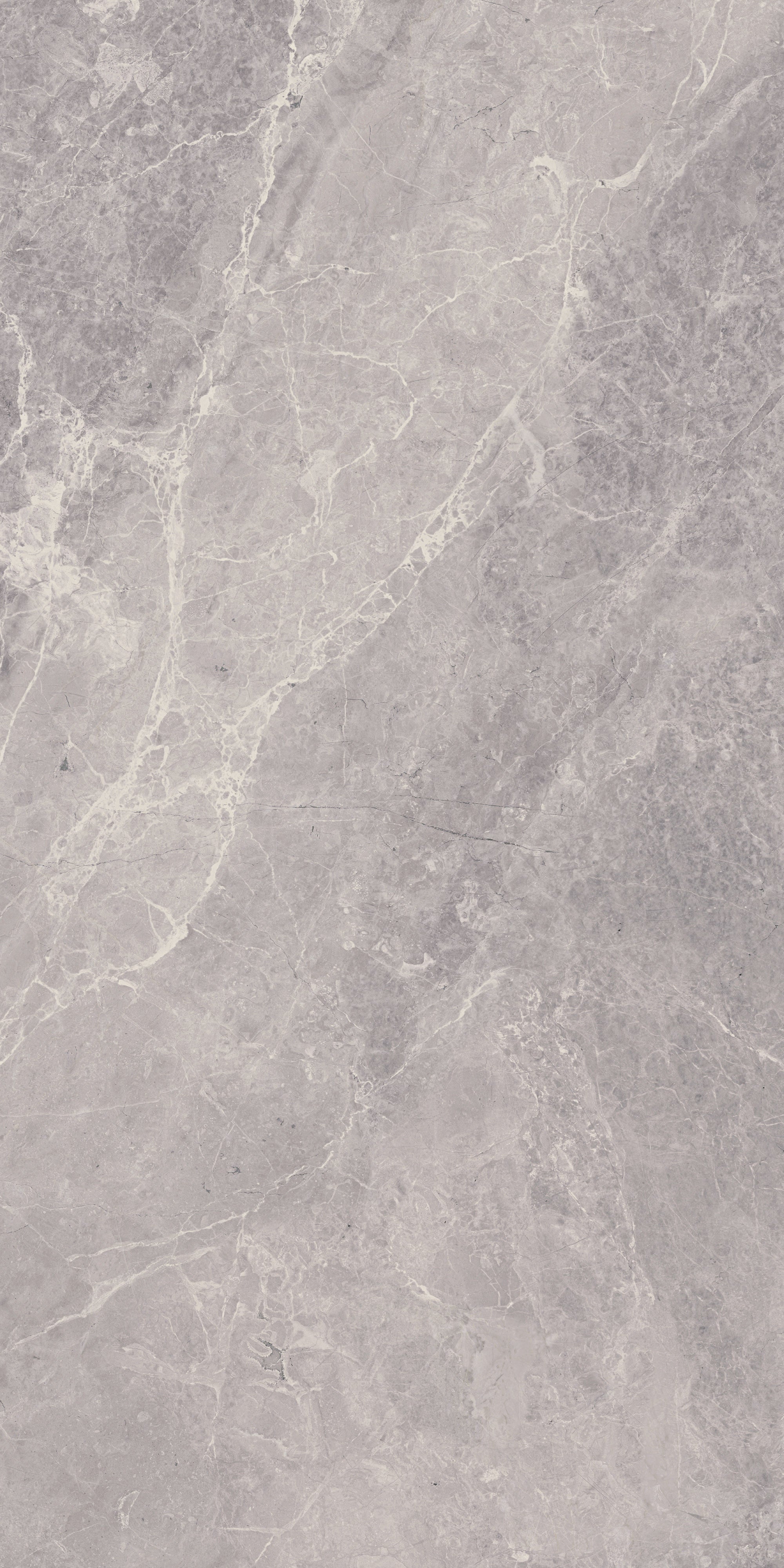 TEMPEST ELEGANCE: Gale Grace Field Tile (12"x24"x8-mm | natural | rectified)