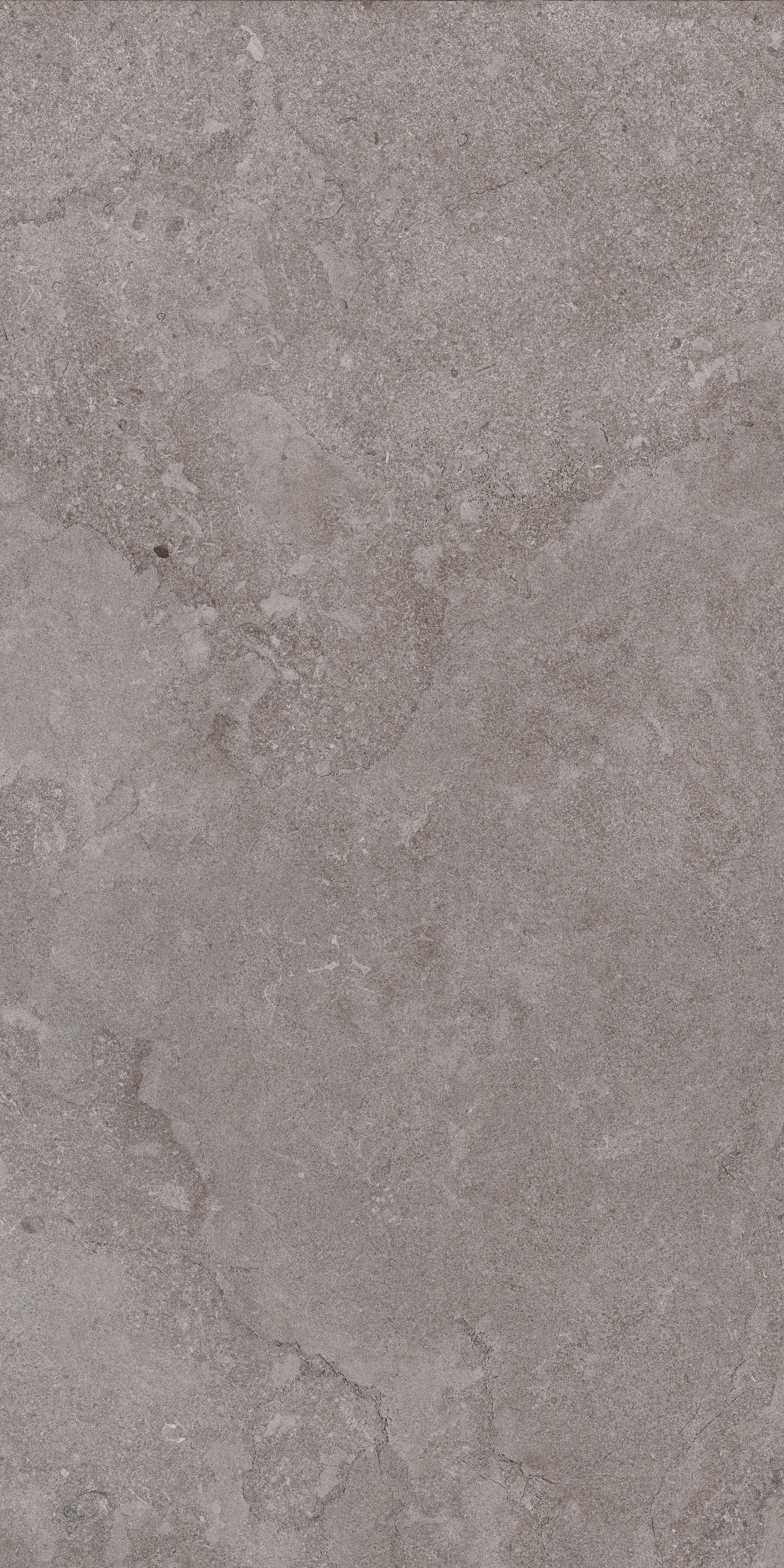 AURORA ELEGANCE: Ashen Dawn Field Tile (24"x48"x8.5-mm | polished | rectified)