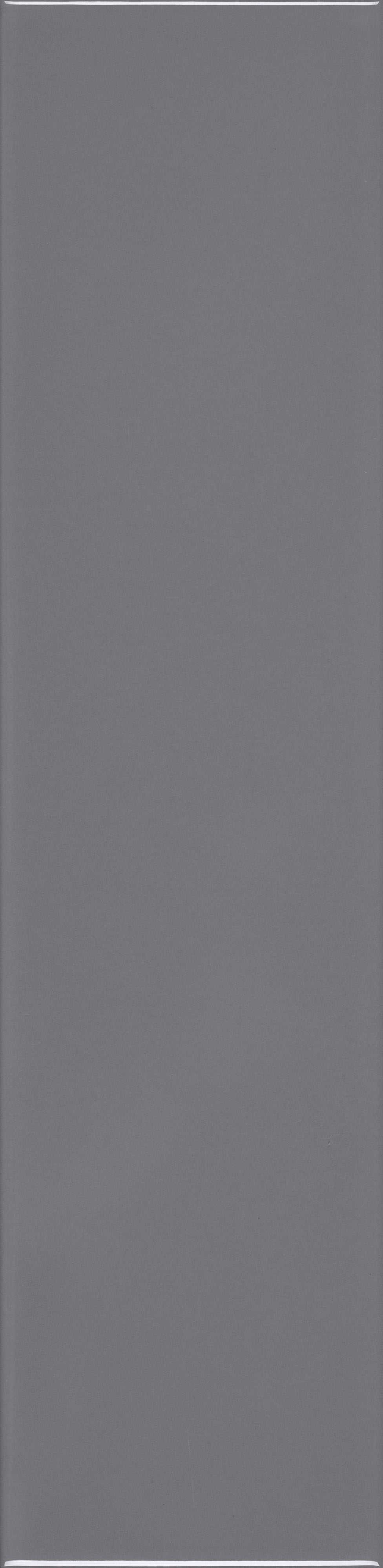 VANGUARD VISTA: Slate Vista Field Tile (4"x16"x7-mm | matte | pressed)