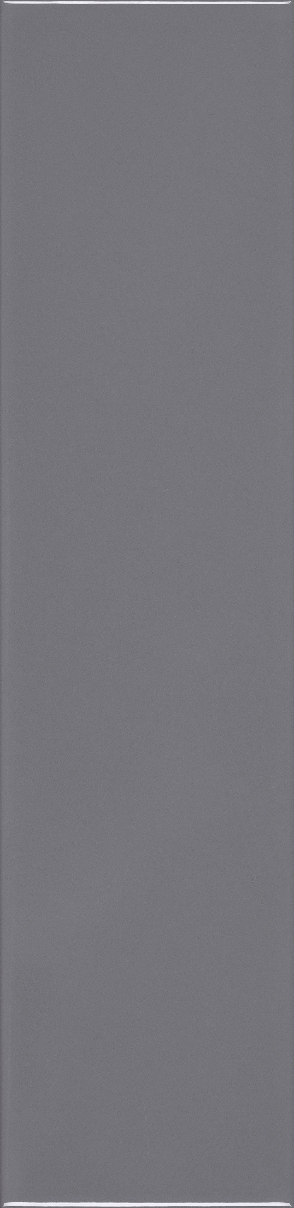 VANGUARD VISTA: Slate Vista Field Tile (4"x16"x7-mm | glossy | pressed)
