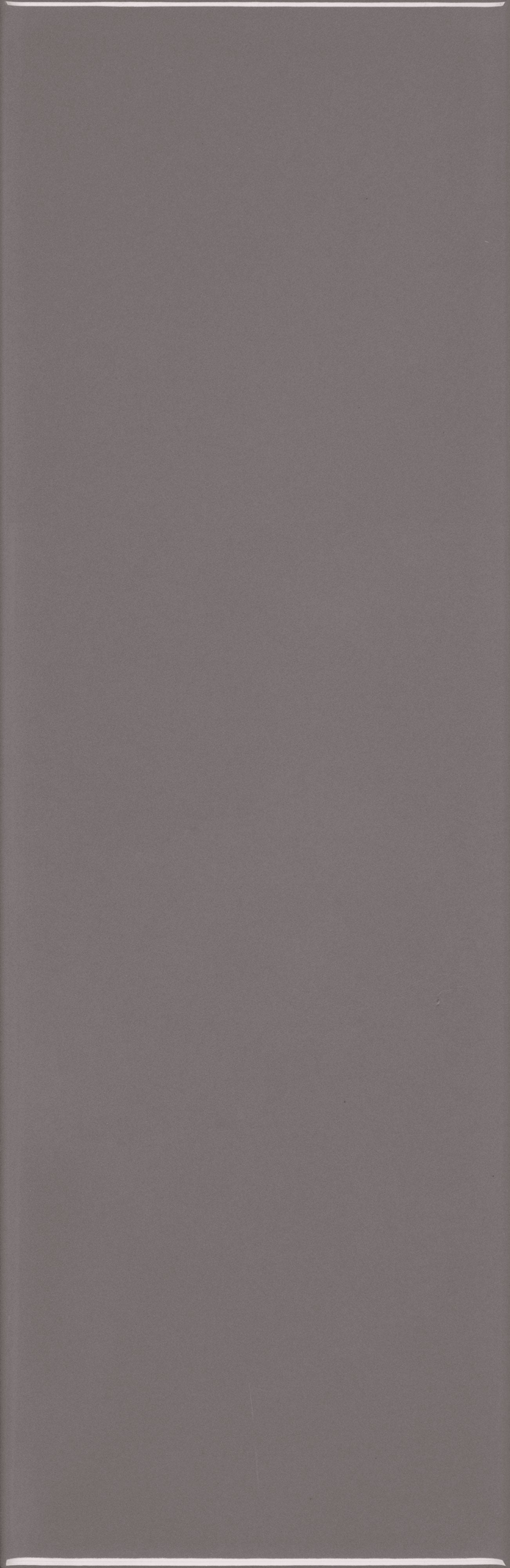 VANGUARD VISTA: Tempest Horizon Field Tile (4"x12"x7-mm | glossy | pressed)