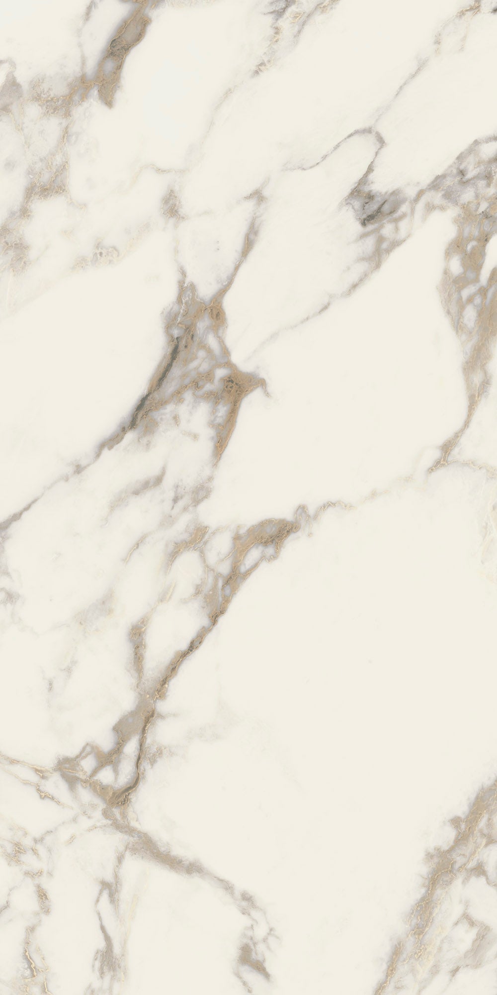 RENAISSANCE RESONANCE: Classic Fresco Field Tile (12"x24"x8-mm | natural | rectified)