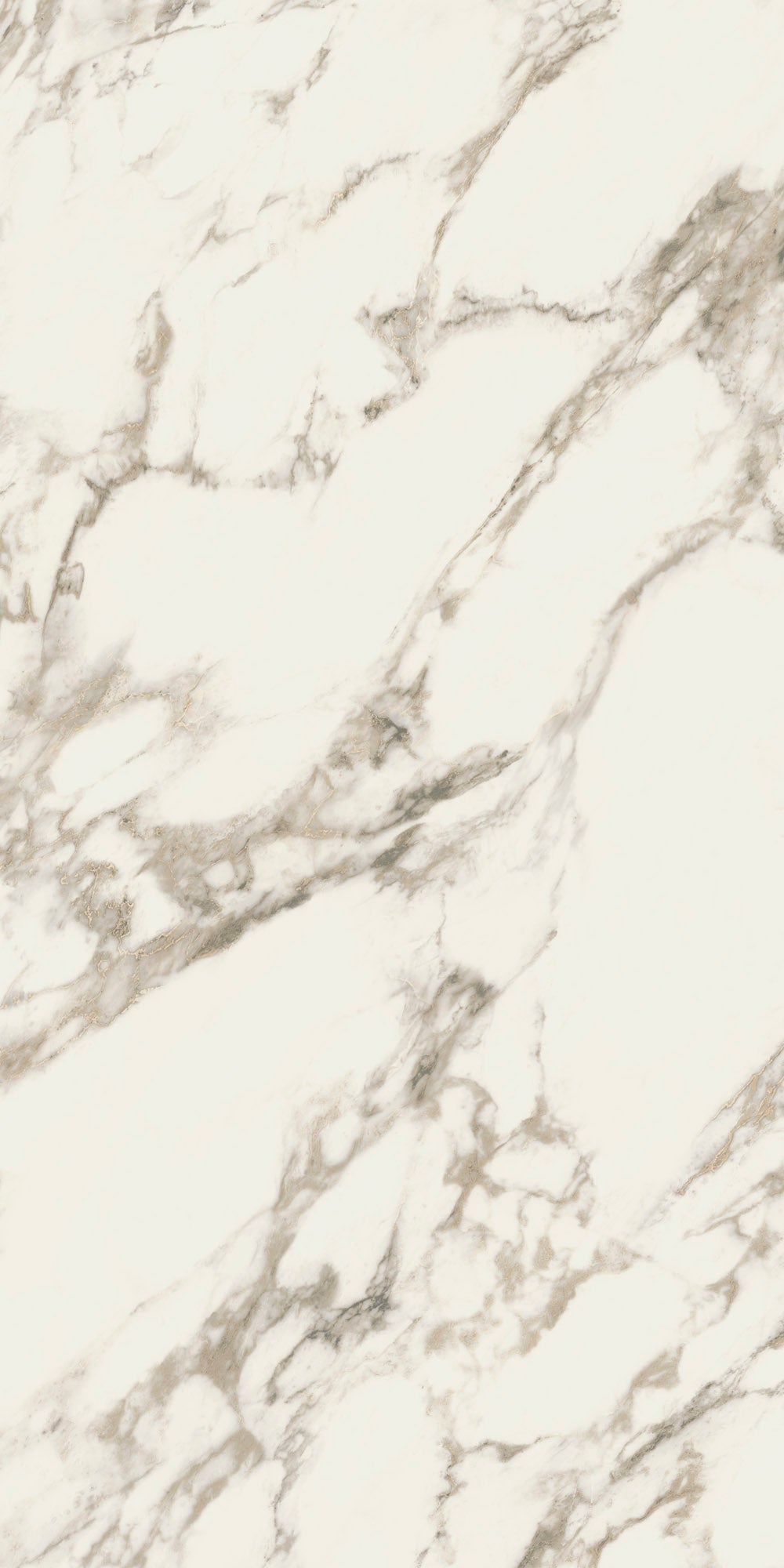 RENAISSANCE RESONANCE: Classic Fresco Field Tile (24"x48"x10-mm | natural | rectified)