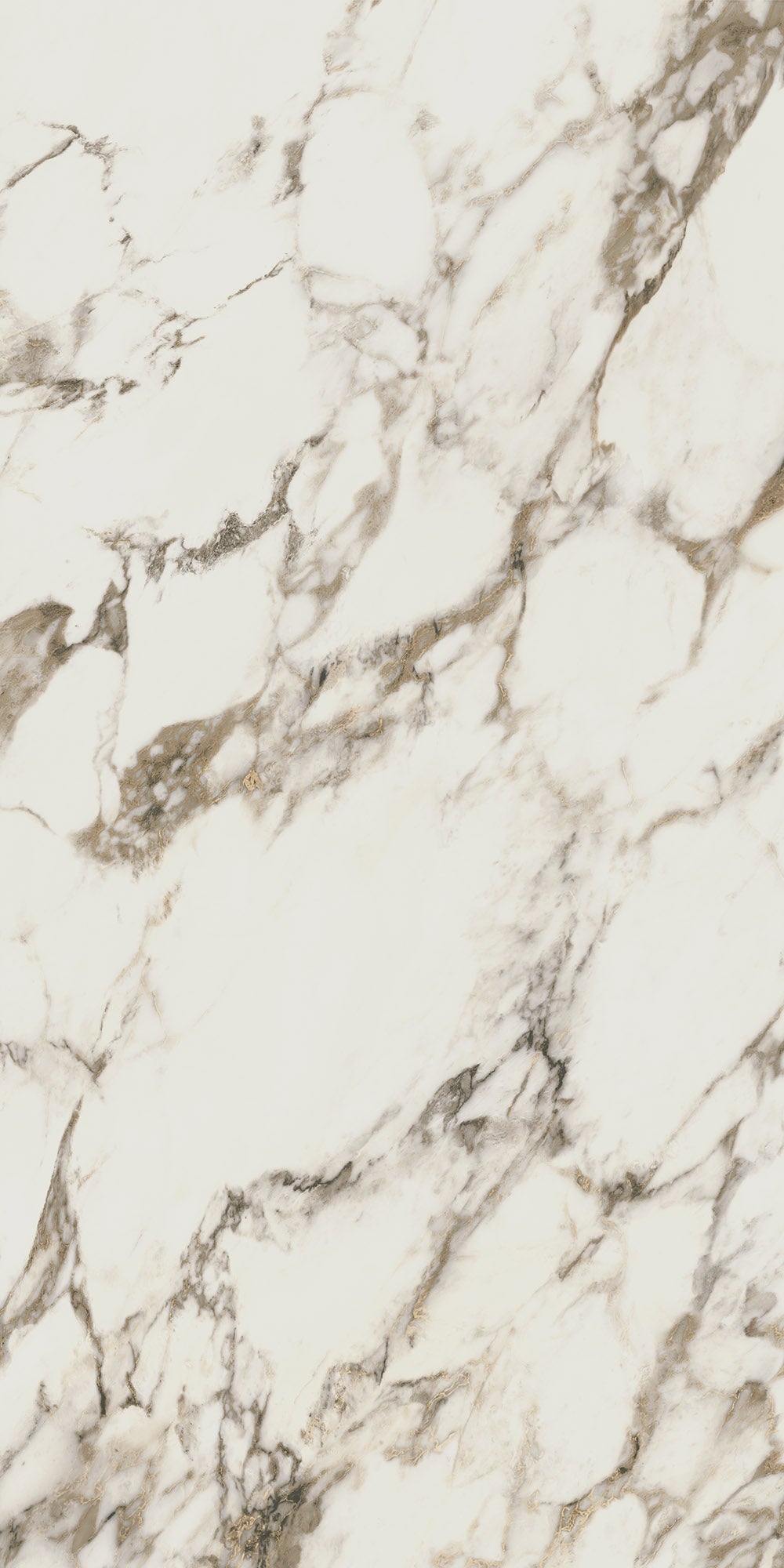 RENAISSANCE RESONANCE: Classic Fresco Field Tile (24"x48"x8.5-mm | polished | rectified)