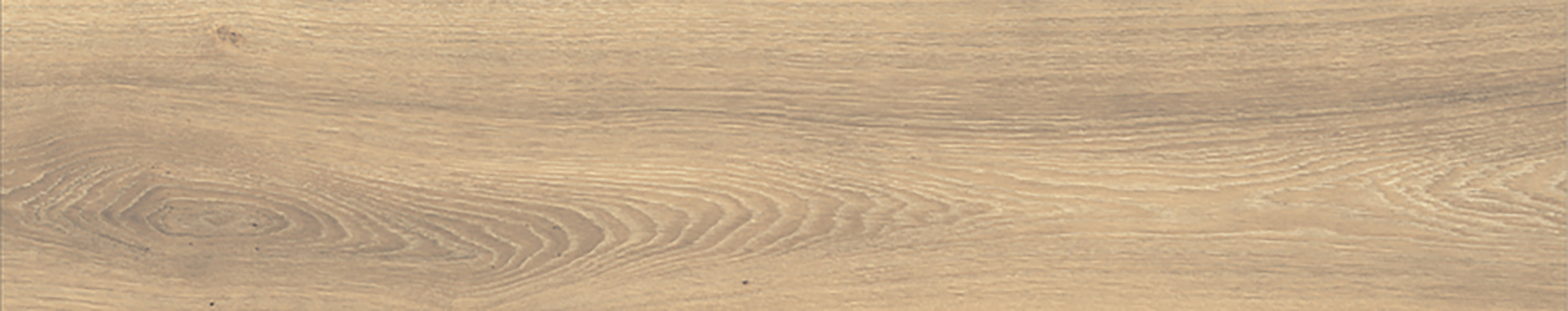 OXFORD Honey porcelain field tile, top-down product view, 8"×40"×5/16" size. Premium porcelain for floors and walls.