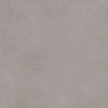 Matte silver porcelain tile with a sleek, contemporary finish, evoking the raw elegance of sedimentary rock and urban sophistication.