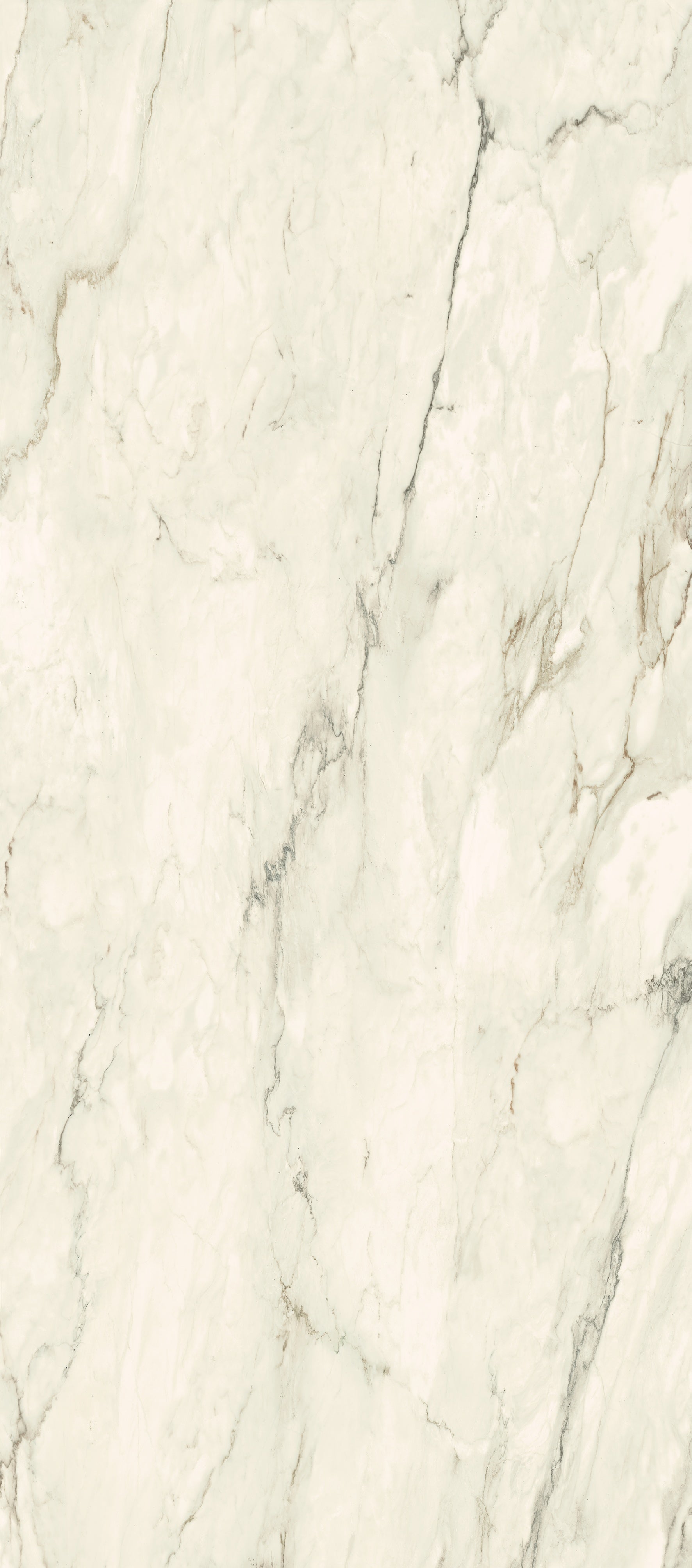 Elegant rectified porcelain wall tile with soft white marble veins and semi-gloss finish for refined contemporary interiors.