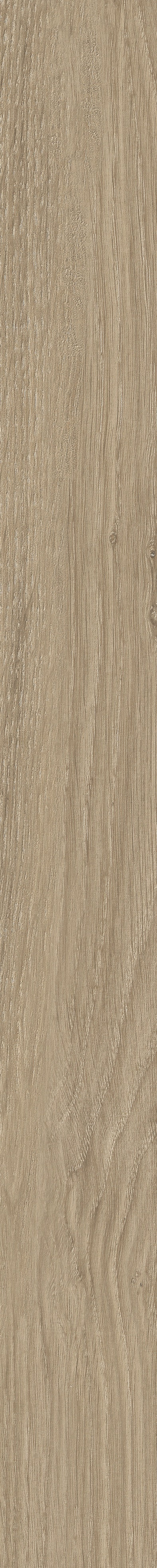 A warm hazelnut wood-look porcelain plank with a matte finish and natural grain, exuding modern serenity and organic elegance.