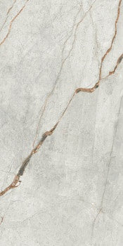 THE ROOM: Grey Roots Marble Rectangle Flat Wall Porcelain Field Tile (23 5/8"x47 1/4"x6.5mm | semi glossy)