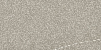 A matte beige-grey porcelain tile with a refined stone-like texture, embodying understated elegance and rugged sophistication.