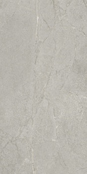 Matte silver-gray porcelain tile with refined marble veins, exuding contemporary elegance and rugged sophistication.